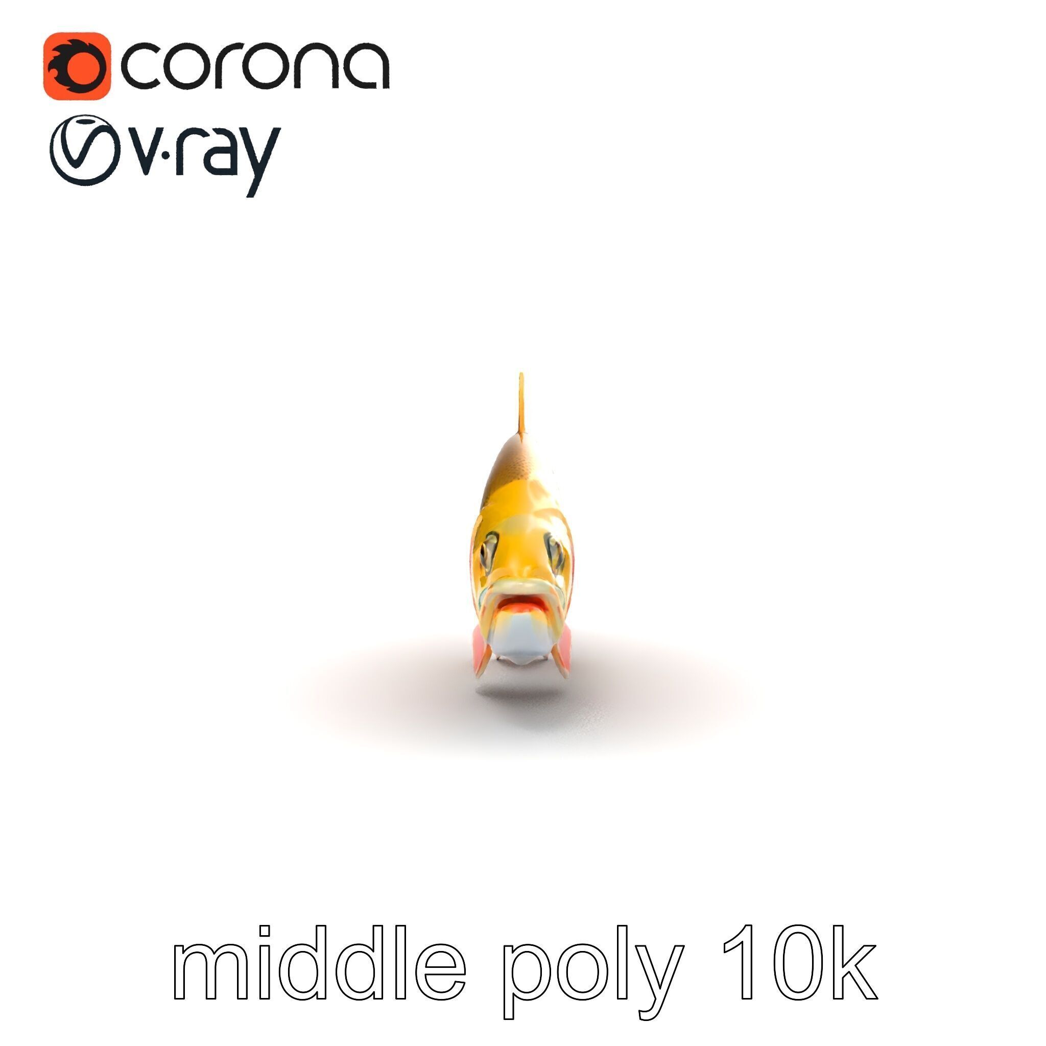 Golden Rainbow Trout 3D Realistic Model Pack Low-poly 3D model_27