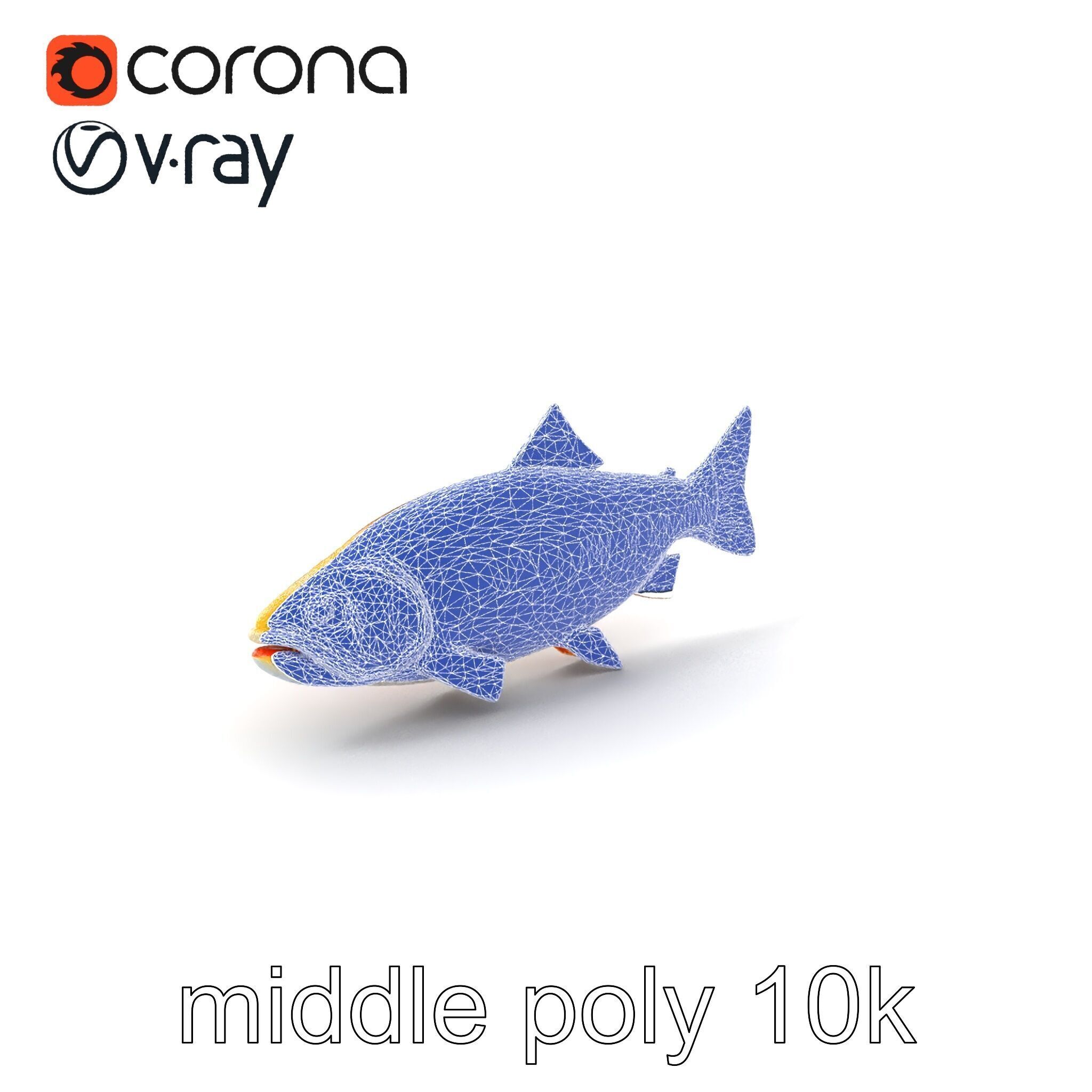 Golden Rainbow Trout 3D Realistic Model Pack Low-poly 3D model_6