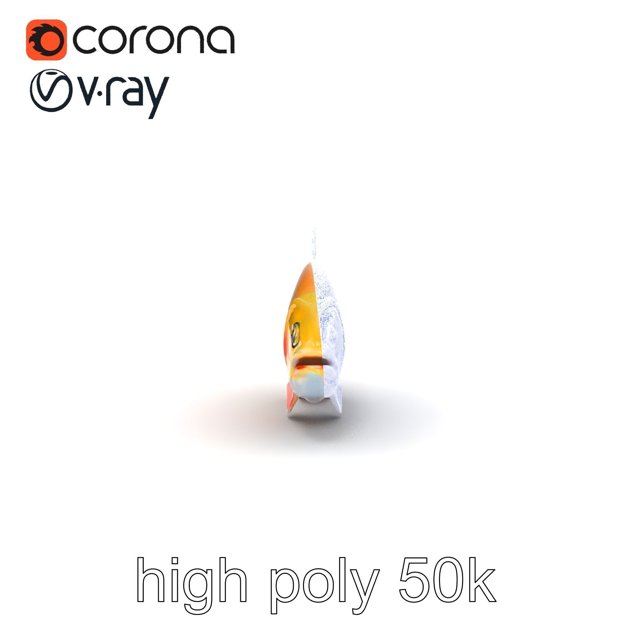 Golden Rainbow Trout 3D Realistic Model Pack Low-poly 3D model_22