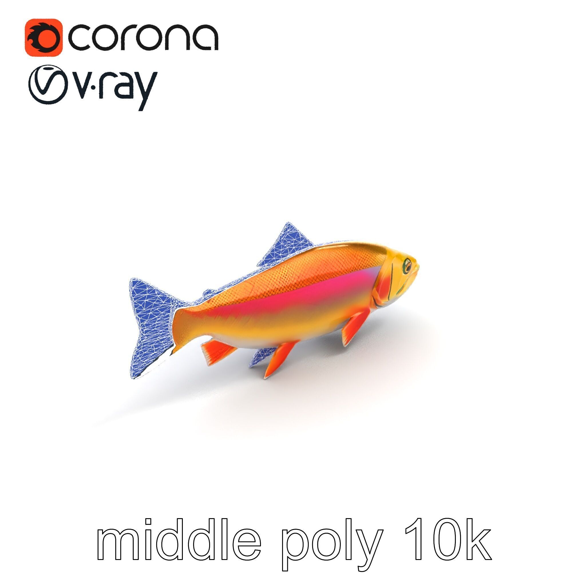 Golden Rainbow Trout 3D Realistic Model Pack Low-poly 3D model_29