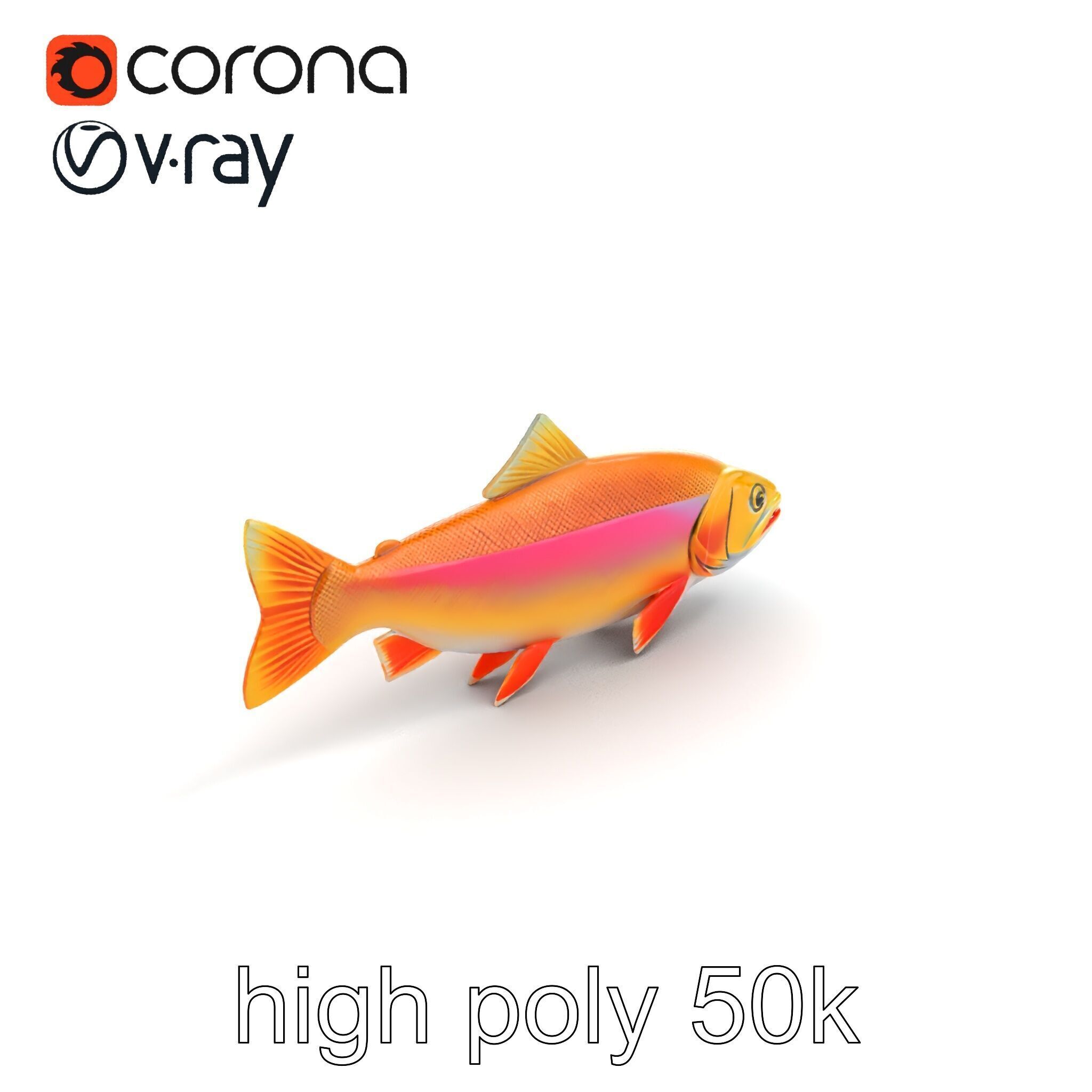Golden Rainbow Trout 3D Realistic Model Pack Low-poly 3D model_28