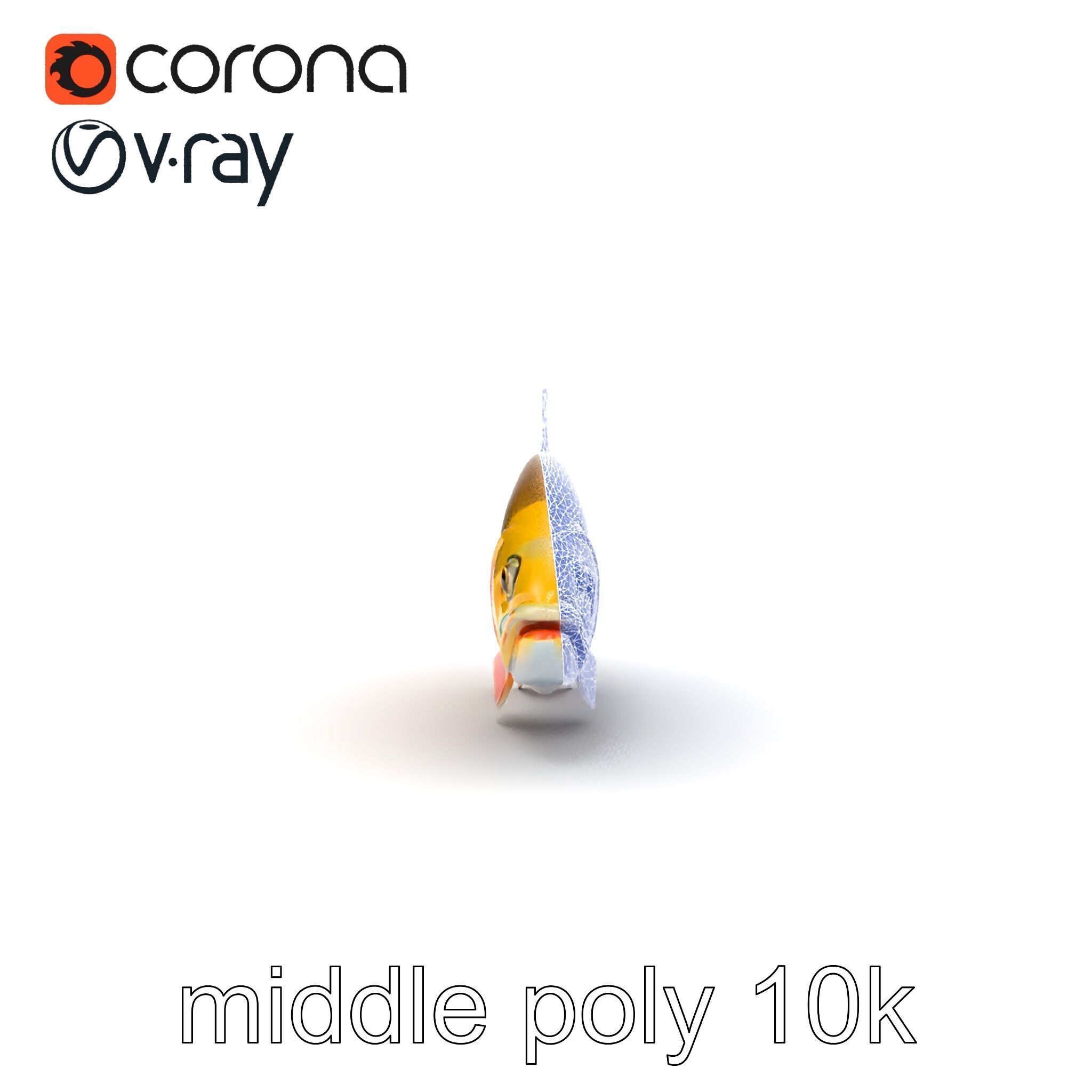 Golden Rainbow Trout 3D Realistic Model Pack Low-poly 3D model_16