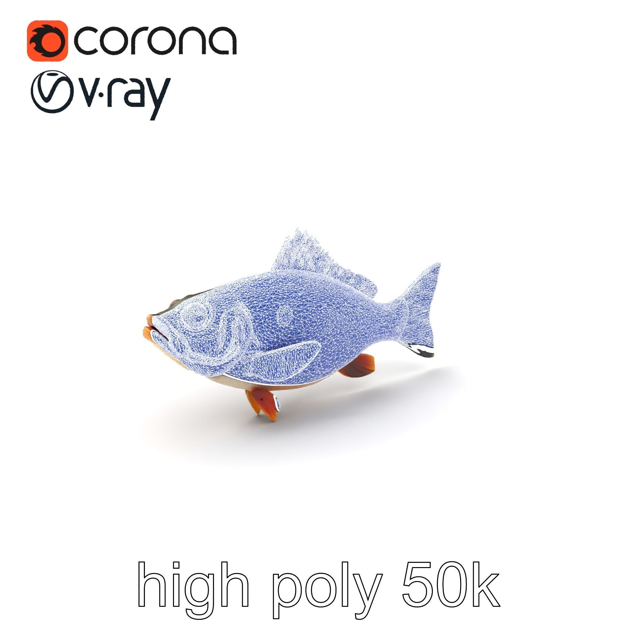 Hybrid Splake Fish Anatomical Detail model pack Low-poly 3D model_10
