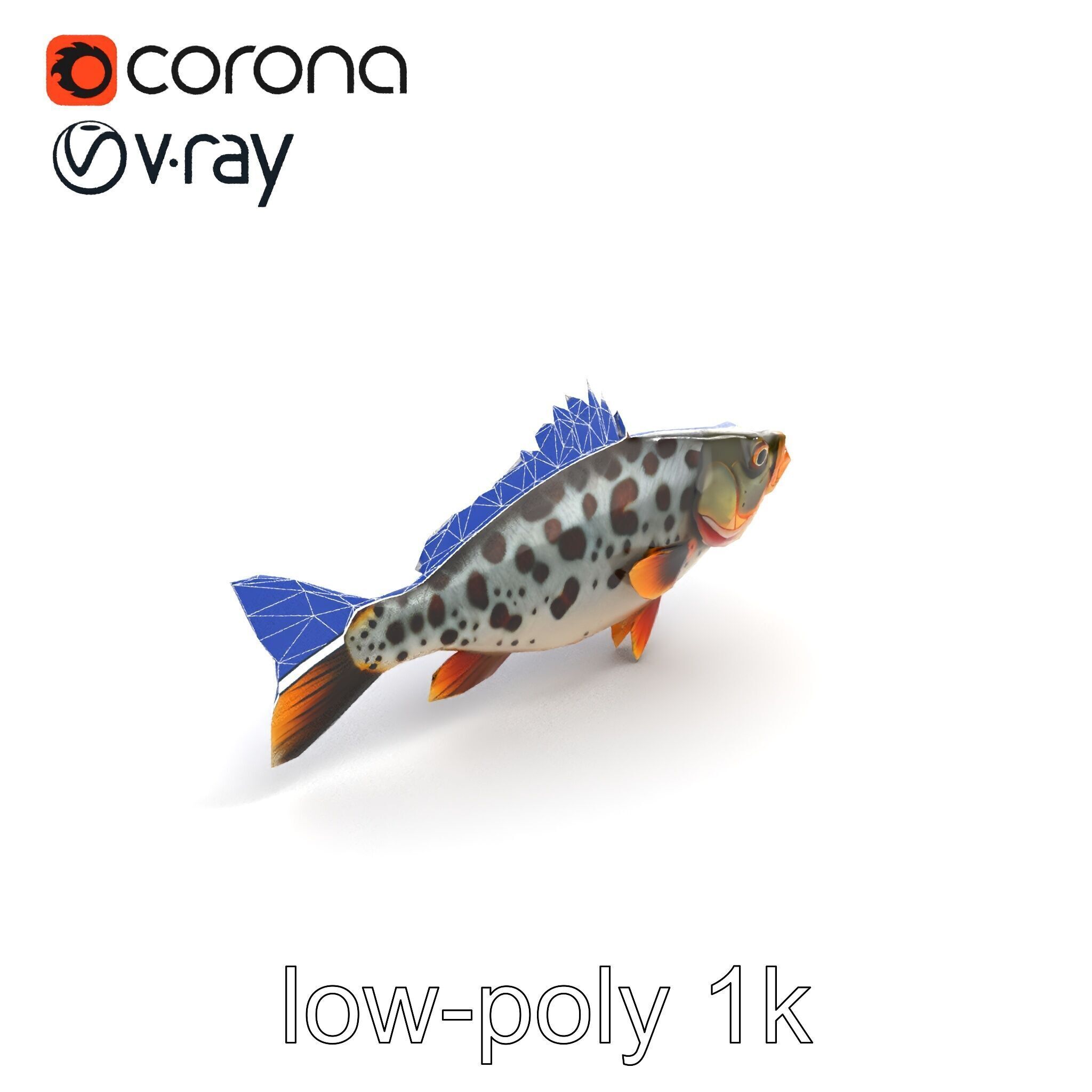 Hybrid Splake Fish Anatomical Detail model pack Low-poly 3D model_11
