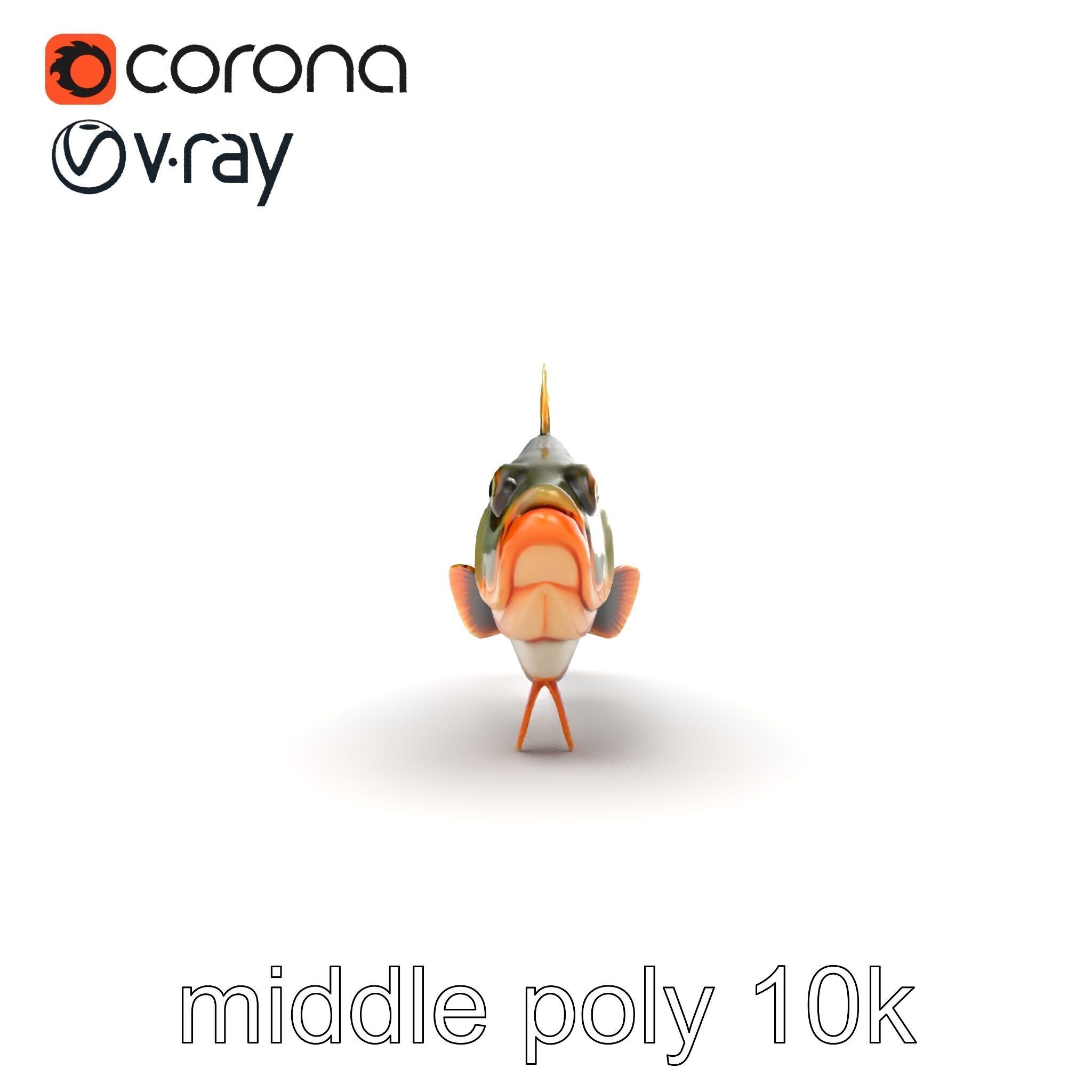 Hybrid Splake Fish Anatomical Detail model pack Low-poly 3D model_17