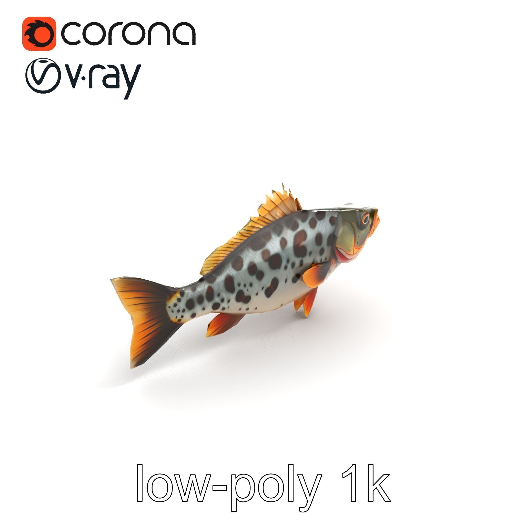Hybrid Splake Fish Anatomical Detail model pack Low-poly 3D model_9