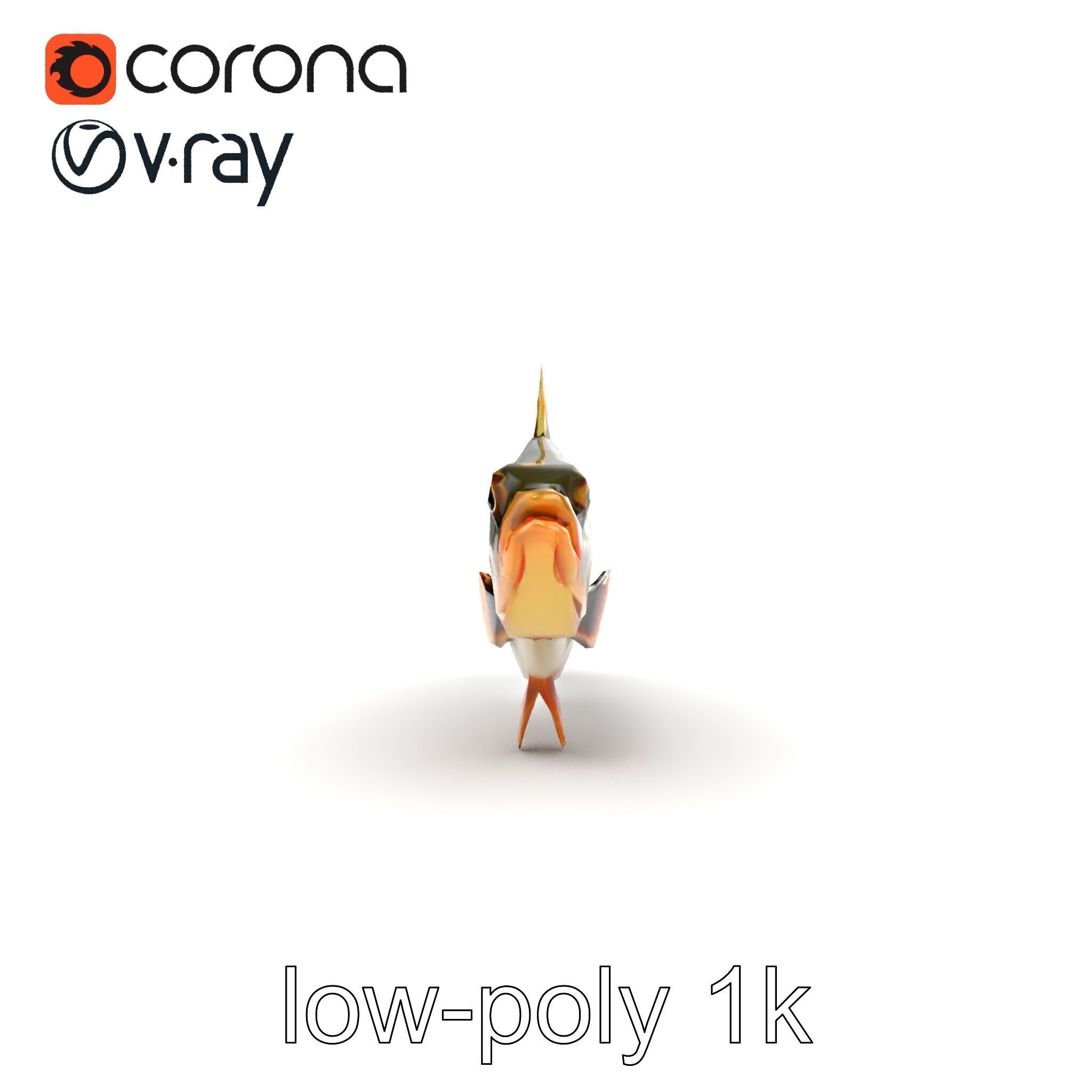 Hybrid Splake Fish Anatomical Detail model pack Low-poly 3D model_14