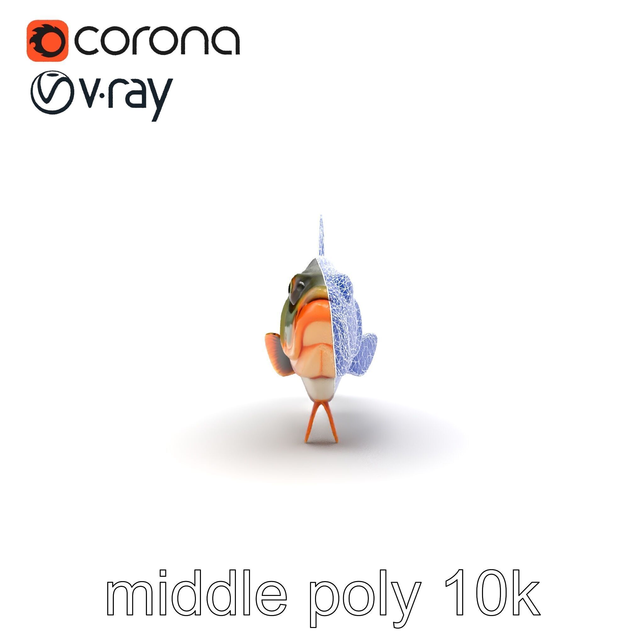 Hybrid Splake Fish Anatomical Detail model pack Low-poly 3D model_23