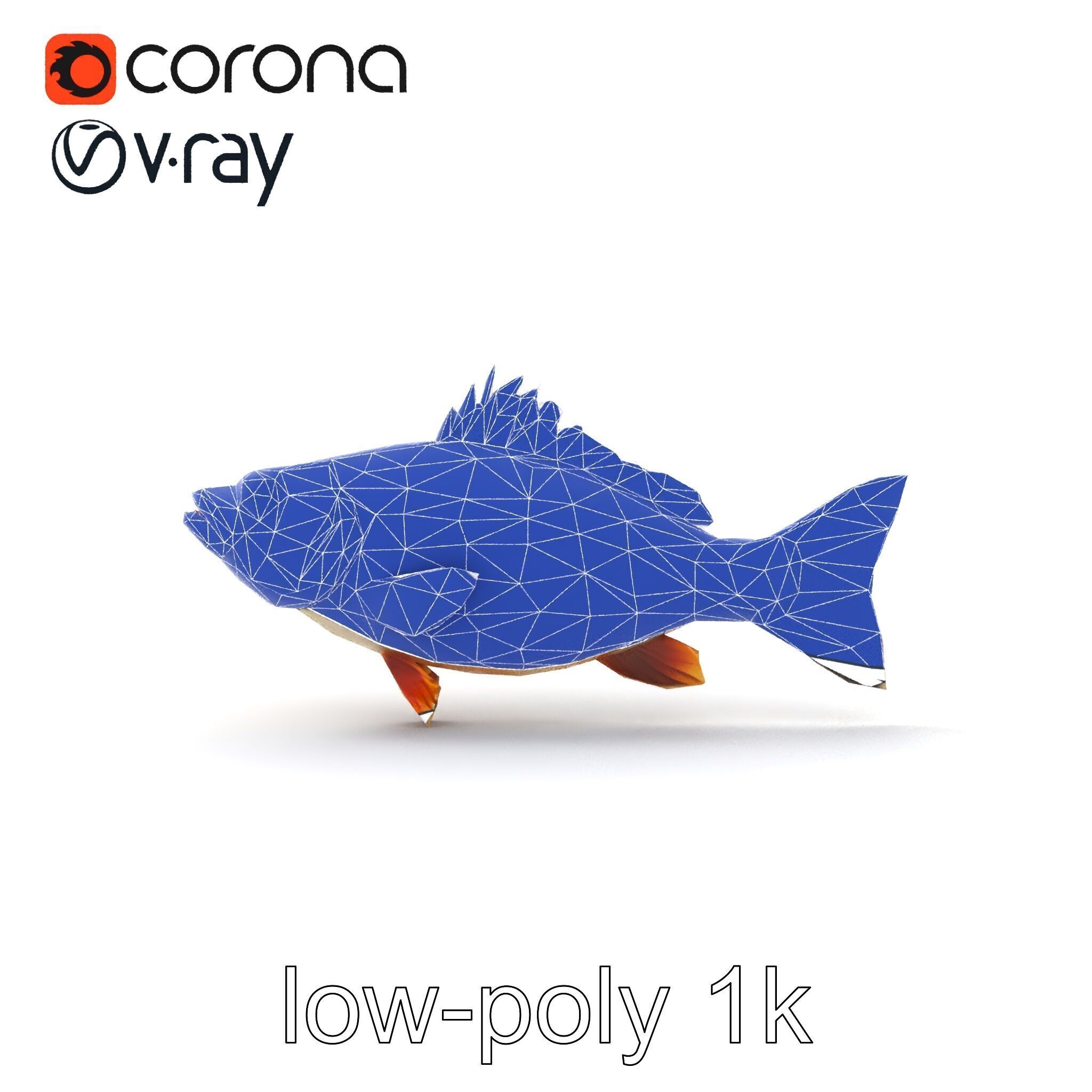 Hybrid Splake Fish Anatomical Detail model pack Low-poly 3D model_19