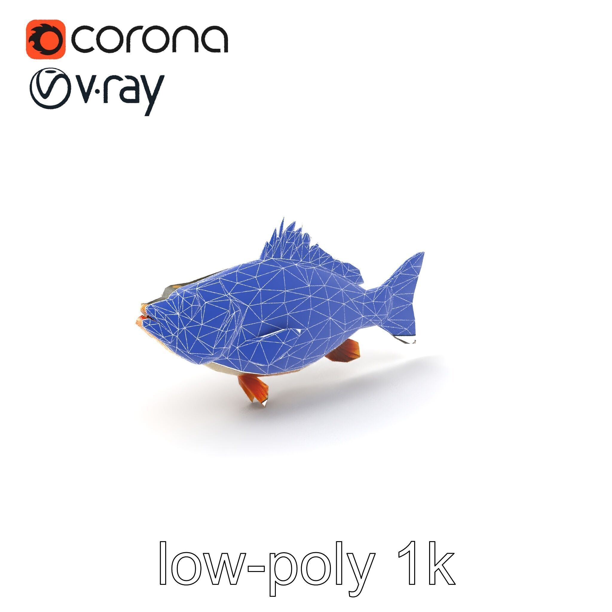 Hybrid Splake Fish Anatomical Detail model pack Low-poly 3D model_7