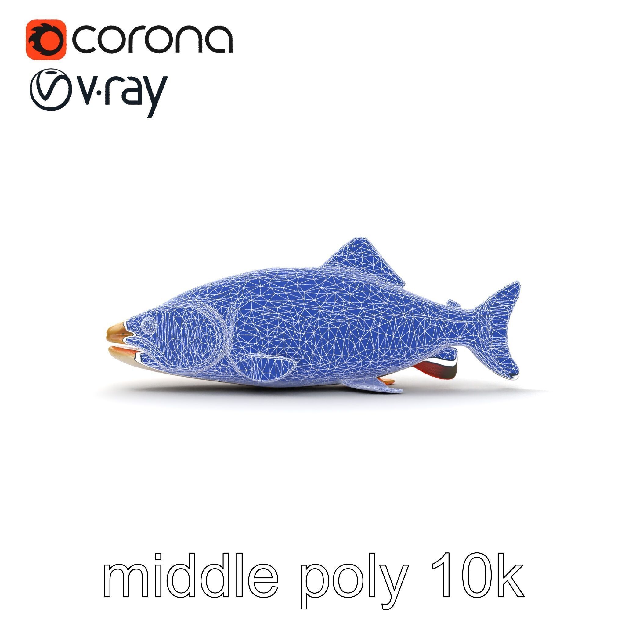 Bull Trout Realistic Model Pack Low-poly 3D model_14