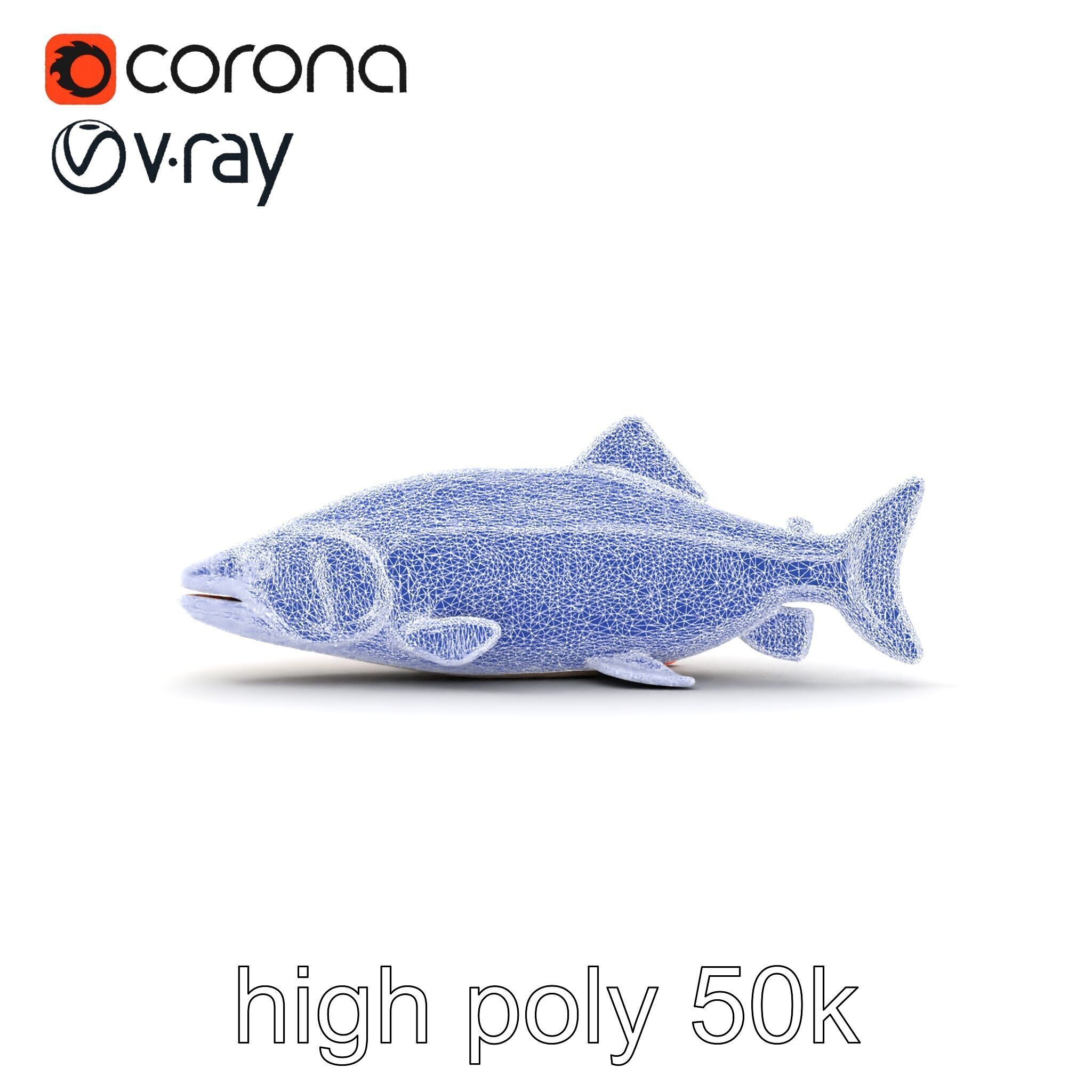 Bull Trout Realistic Model Pack Low-poly 3D model_22