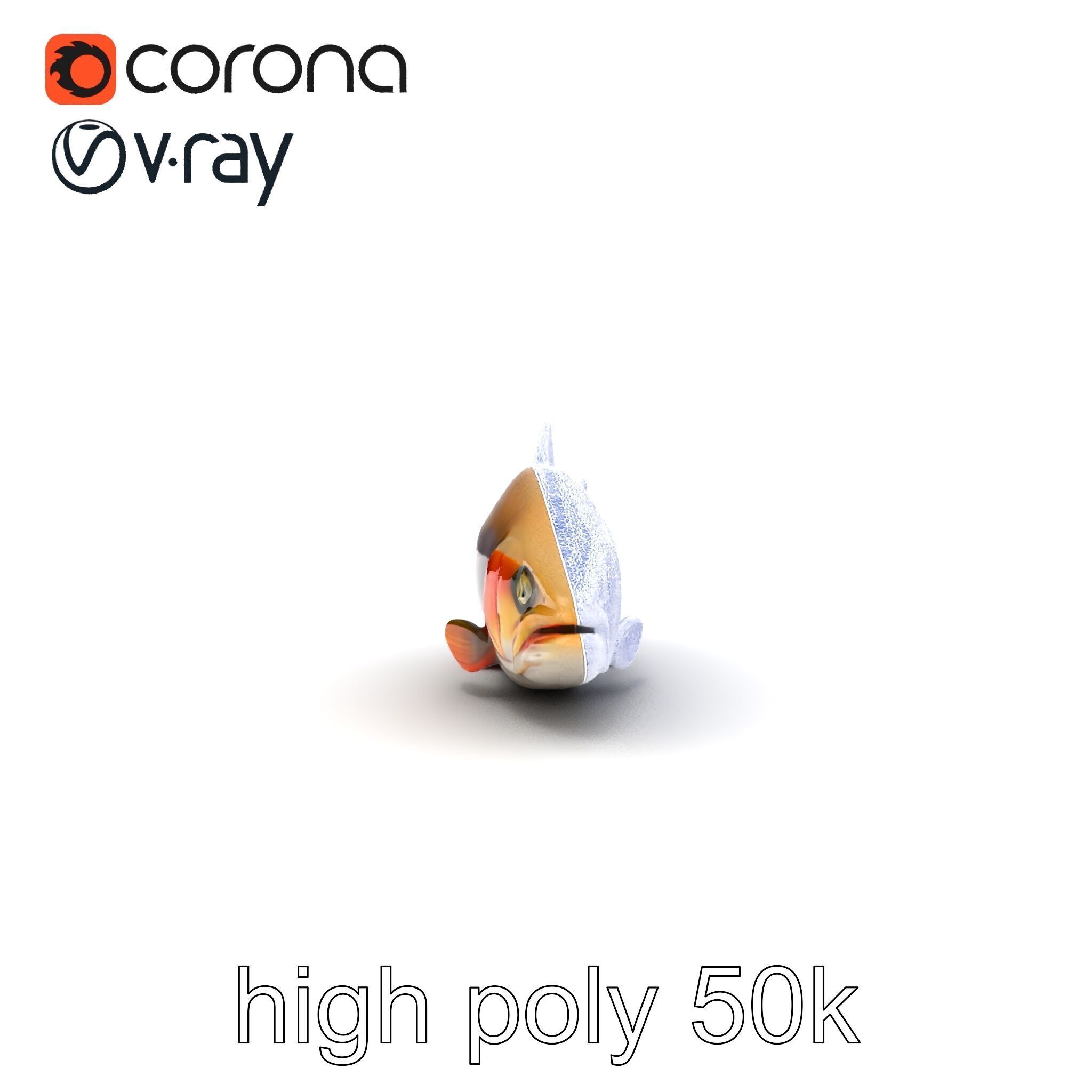 Bull Trout Realistic Model Pack Low-poly 3D model_28