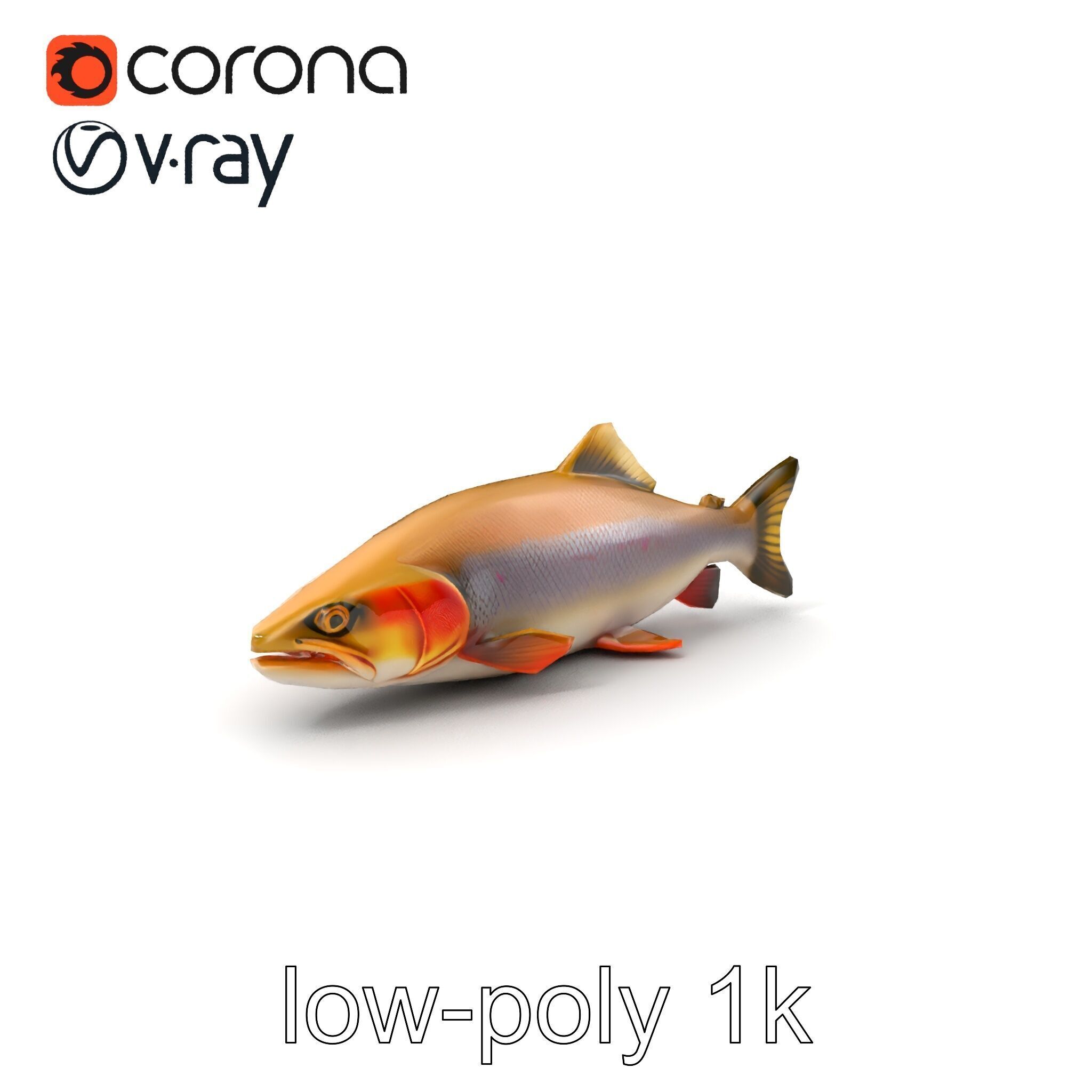 Bull Trout Realistic Model Pack Low-poly 3D model_4