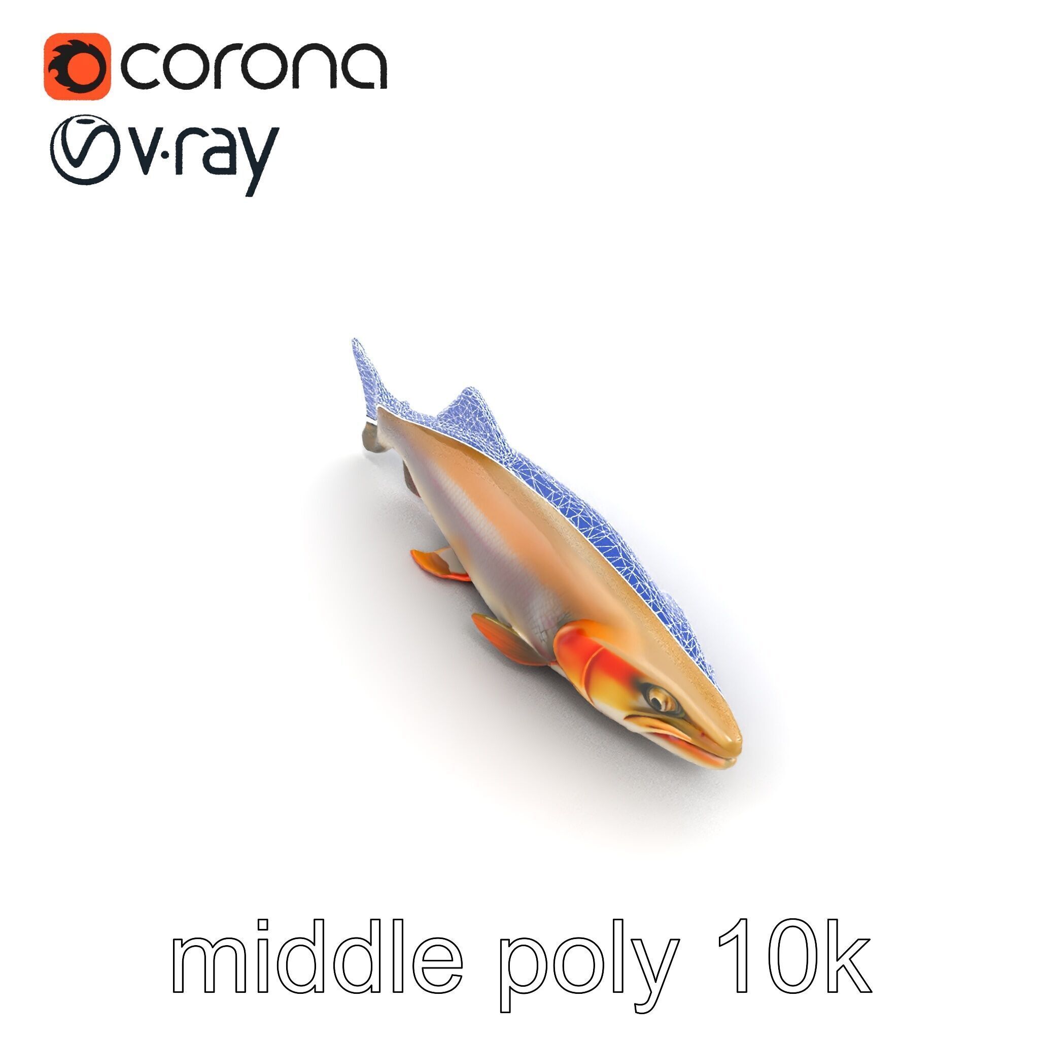 Bull Trout Realistic Model Pack Low-poly 3D model_11