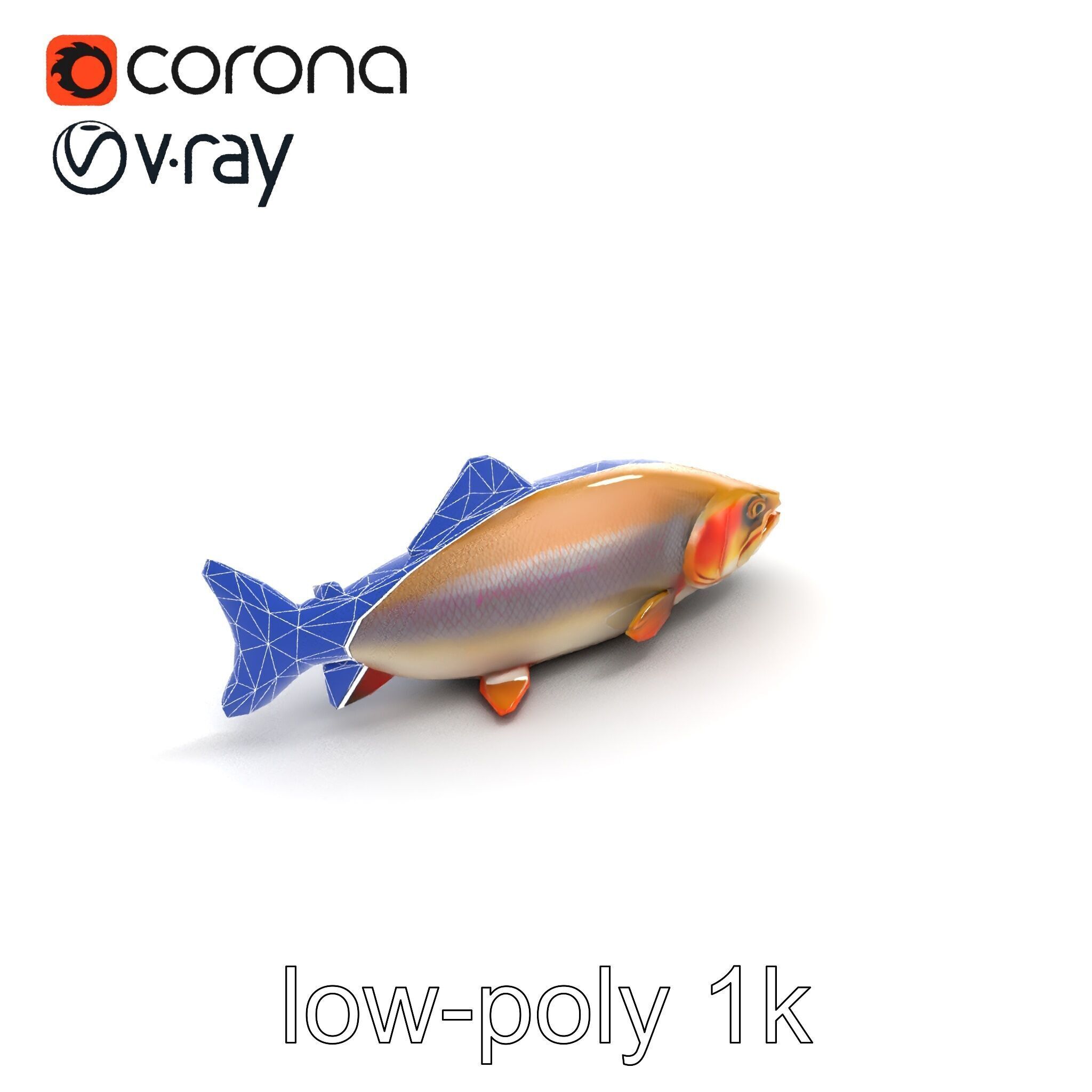 Bull Trout Realistic Model Pack Low-poly 3D model_23