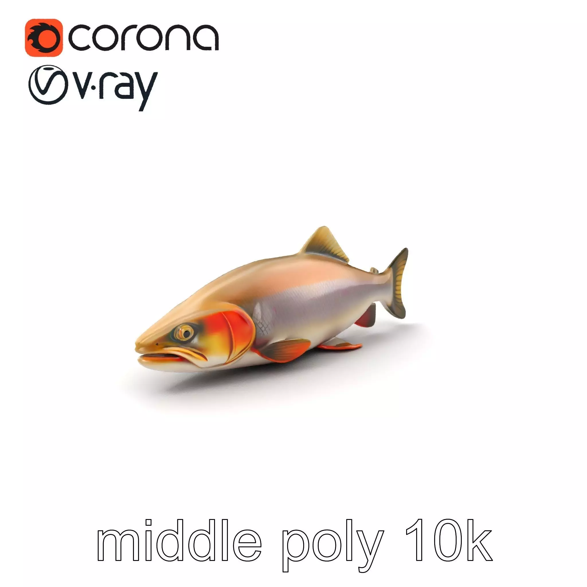 Bull Trout Realistic Model Pack Low-poly 3D model_0