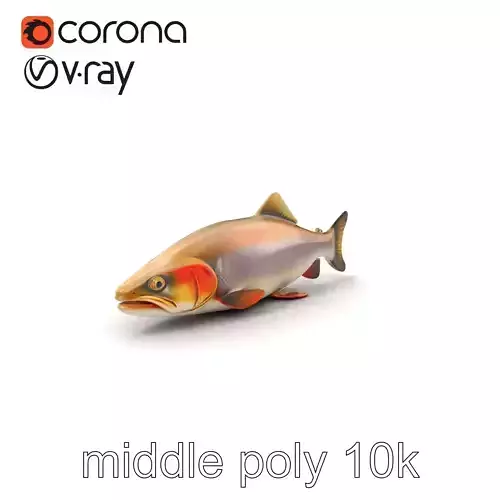 Bull Trout Realistic Model Pack Low-poly 3D model
