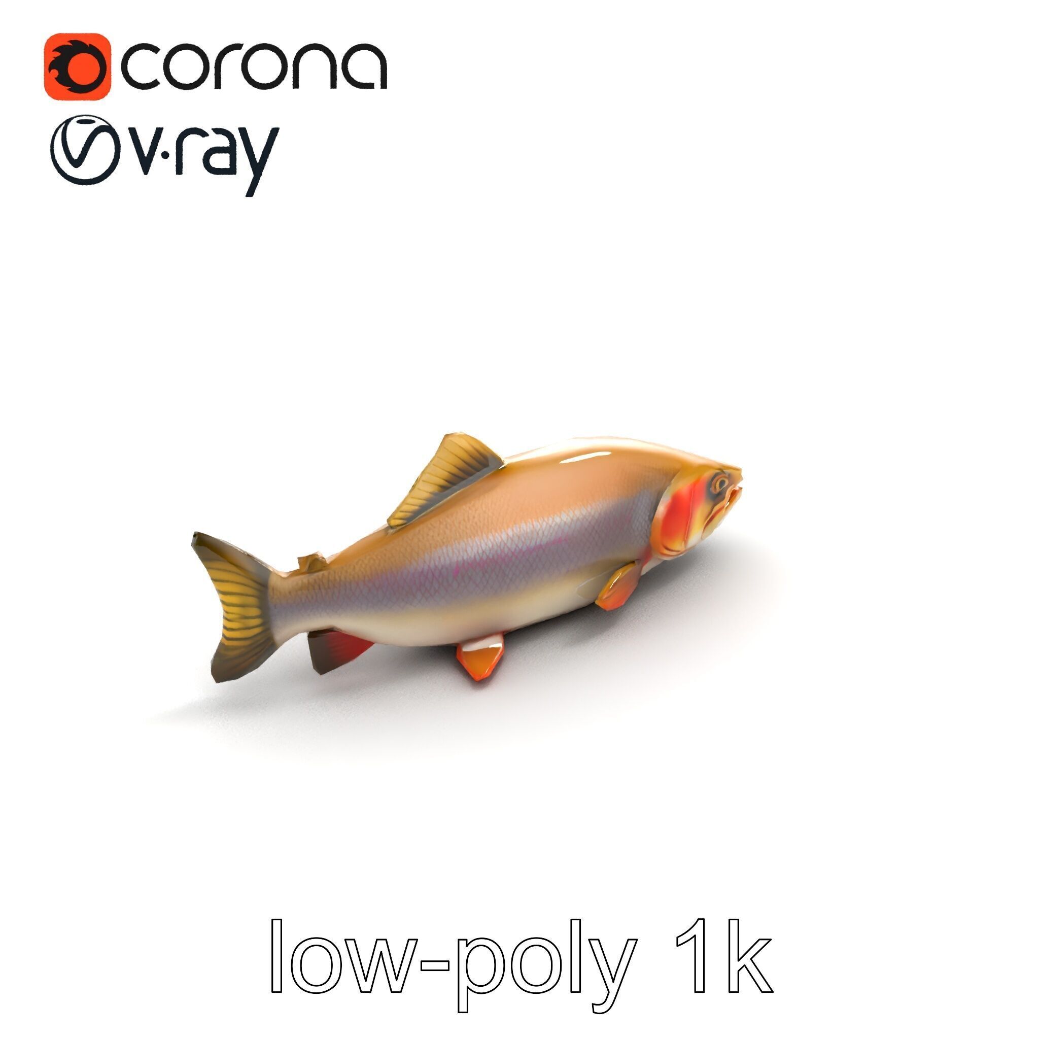 Bull Trout Realistic Model Pack Low-poly 3D model_8