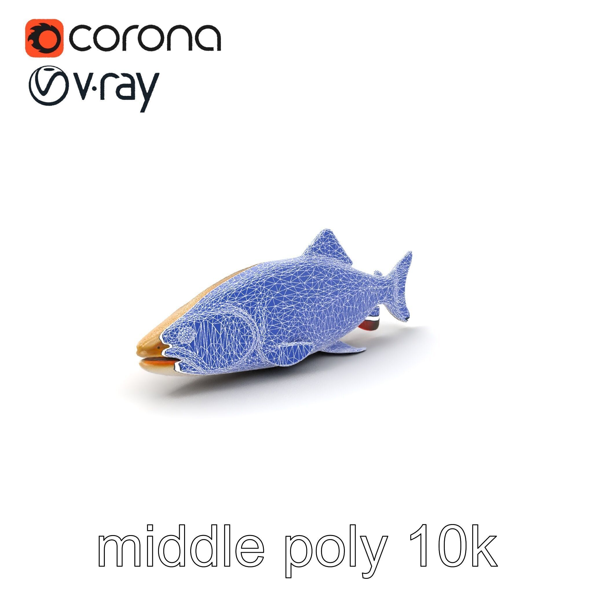 Bull Trout Realistic Model Pack Low-poly 3D model_5