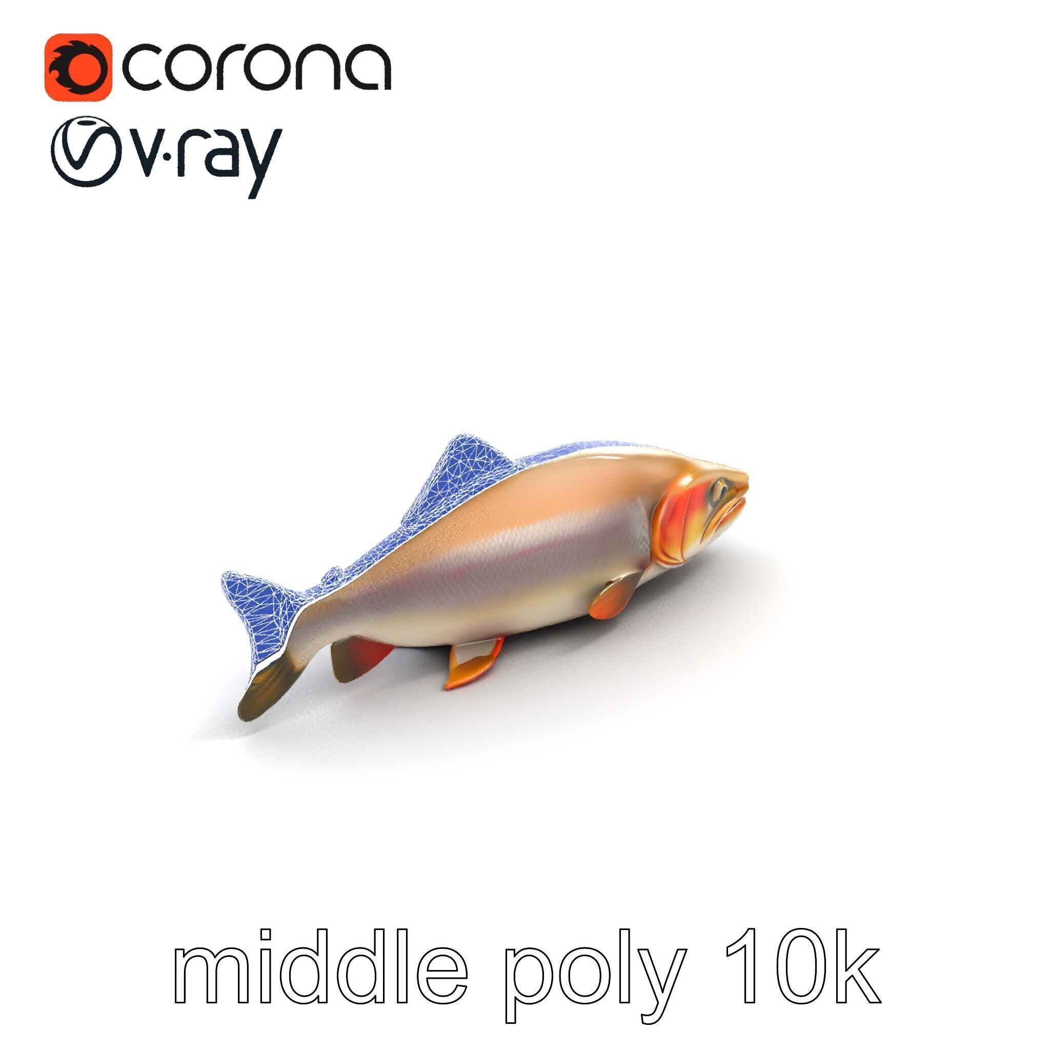 Bull Trout Realistic Model Pack Low-poly 3D model_20