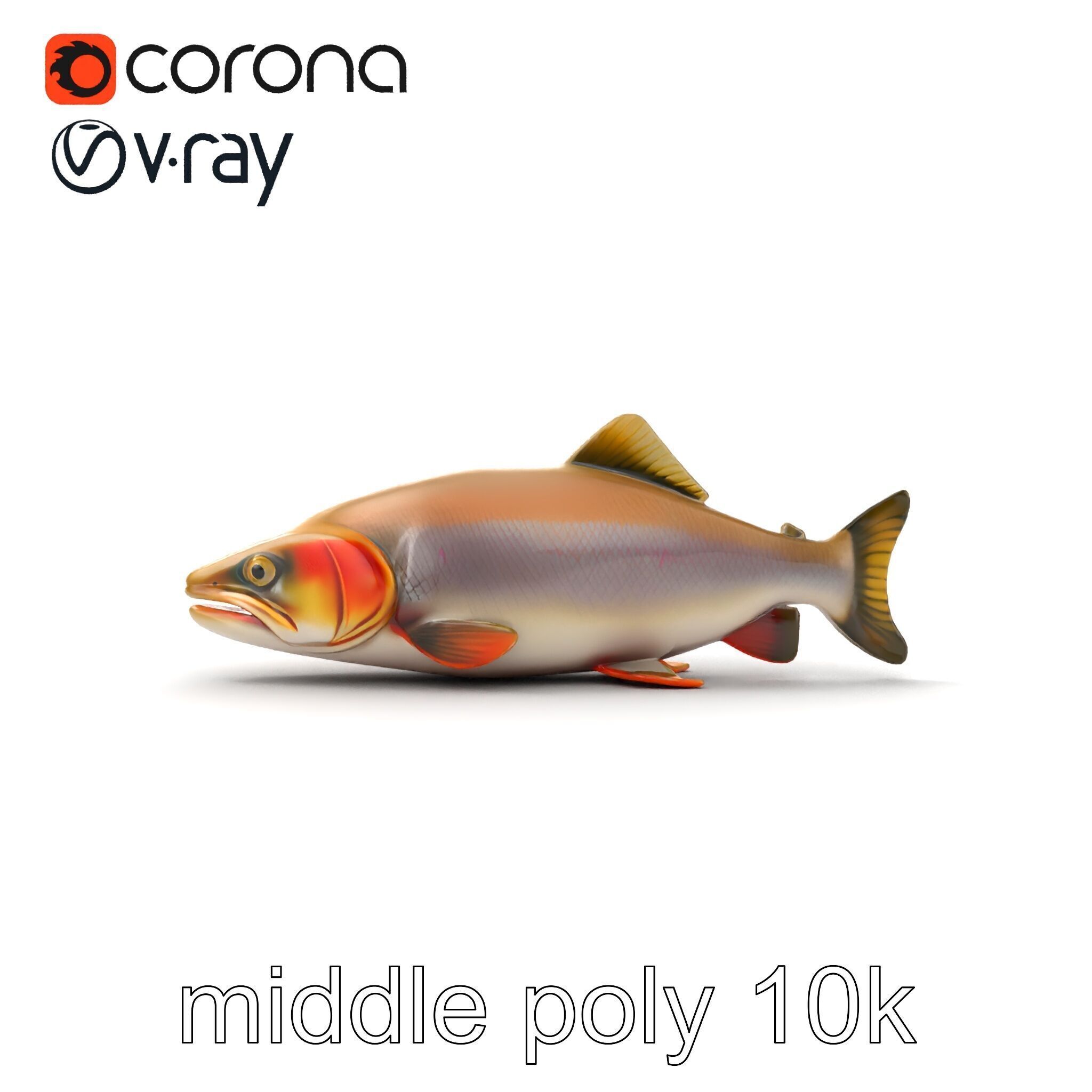 Bull Trout Realistic Model Pack Low-poly 3D model_16