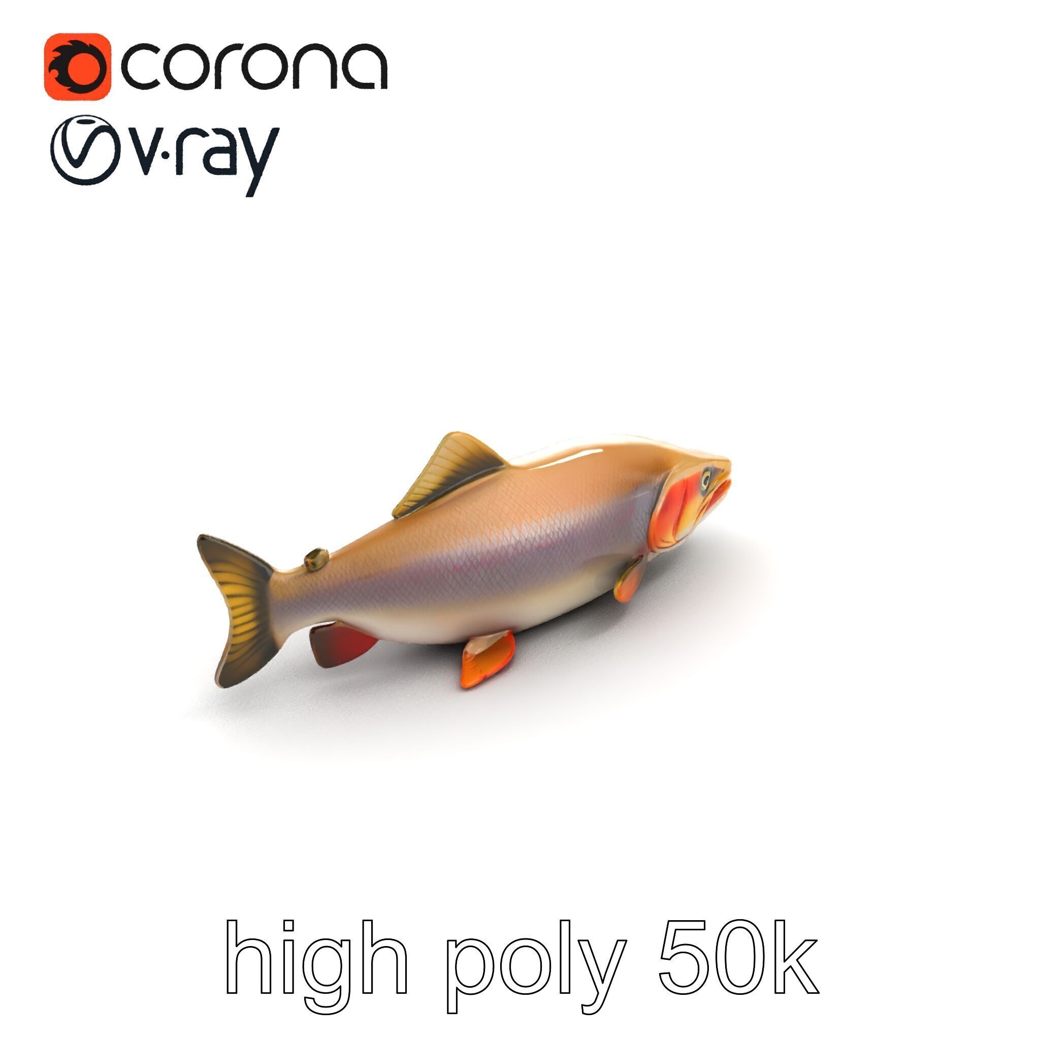 Bull Trout Realistic Model Pack Low-poly 3D model_9