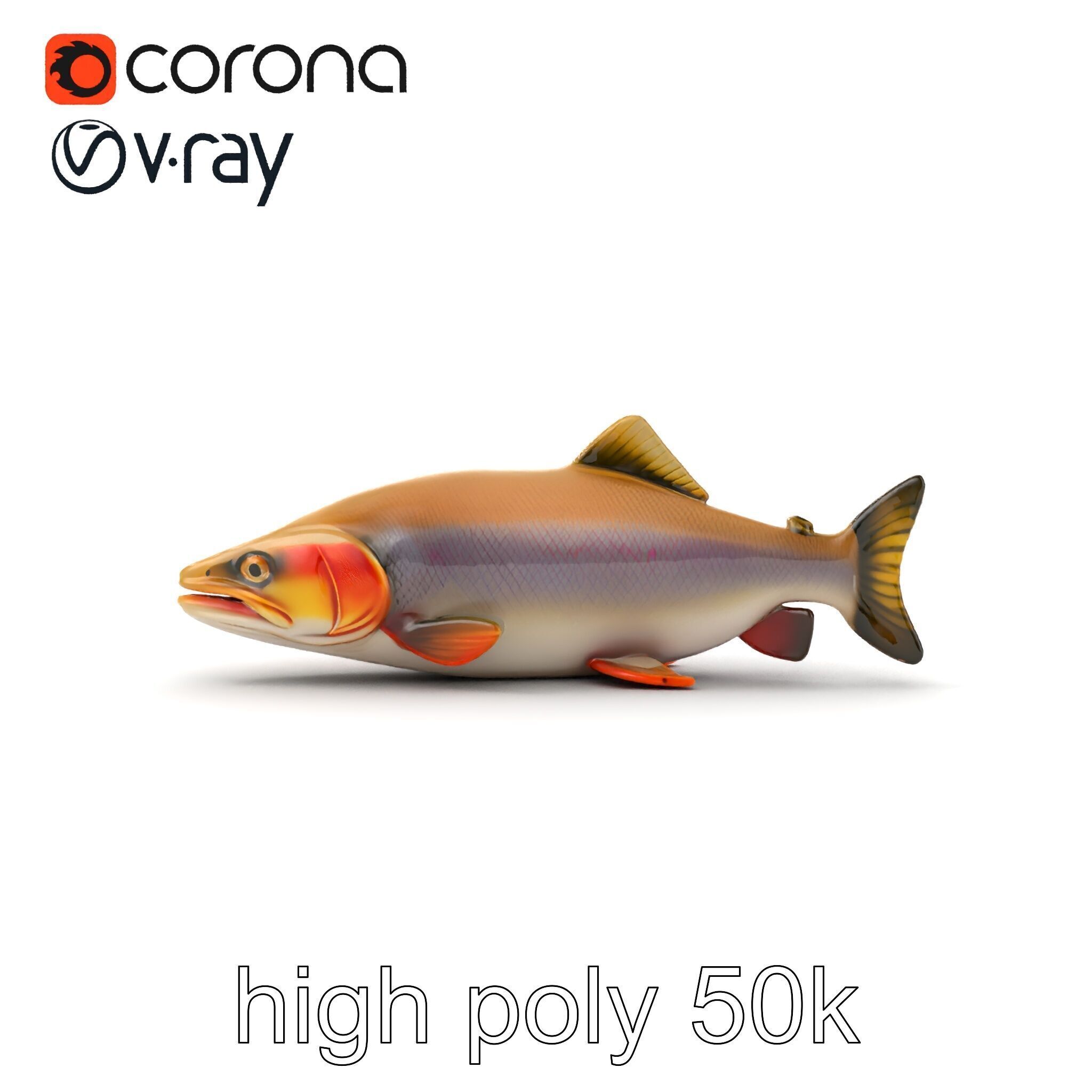 Bull Trout Realistic Model Pack Low-poly 3D model_26