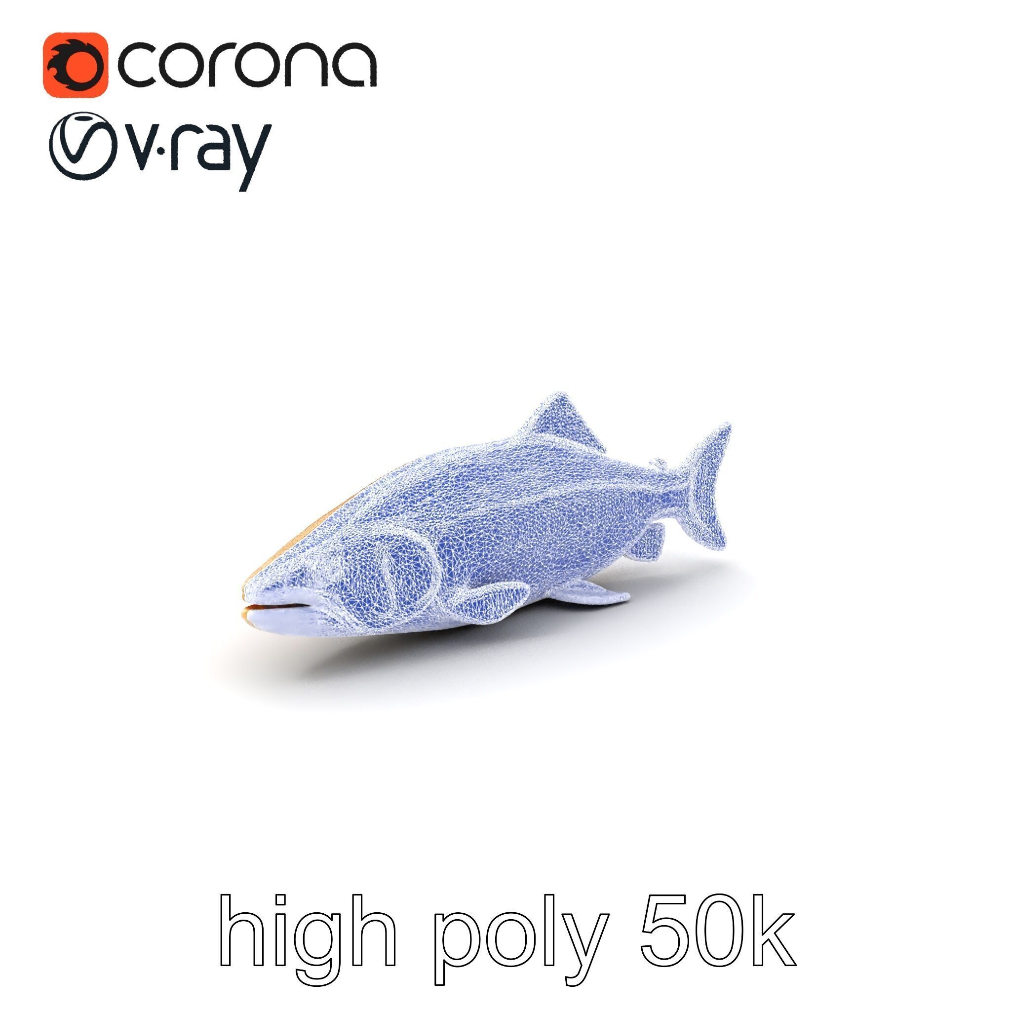 Bull Trout Realistic Model Pack Low-poly 3D model_1