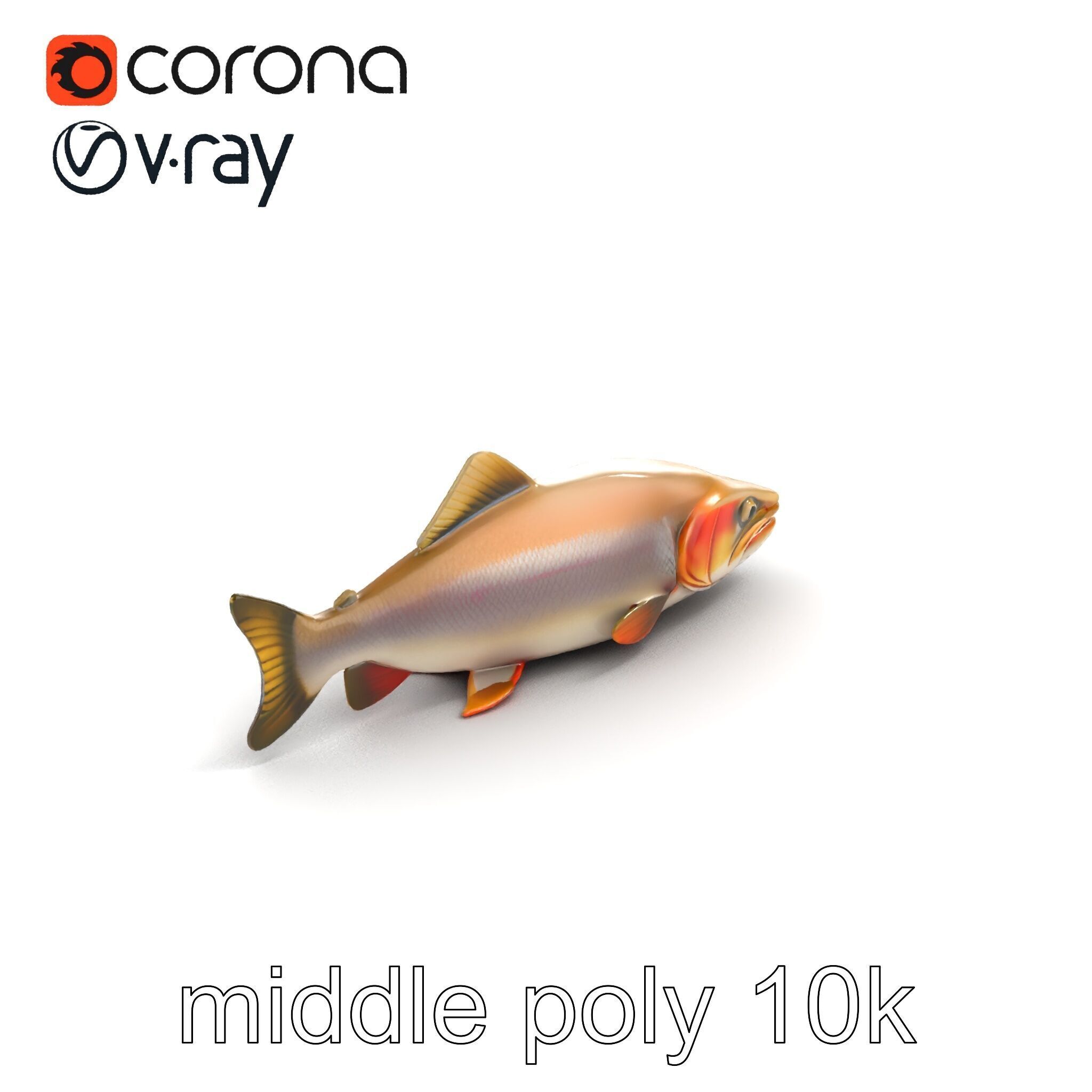 Bull Trout Realistic Model Pack Low-poly 3D model_7