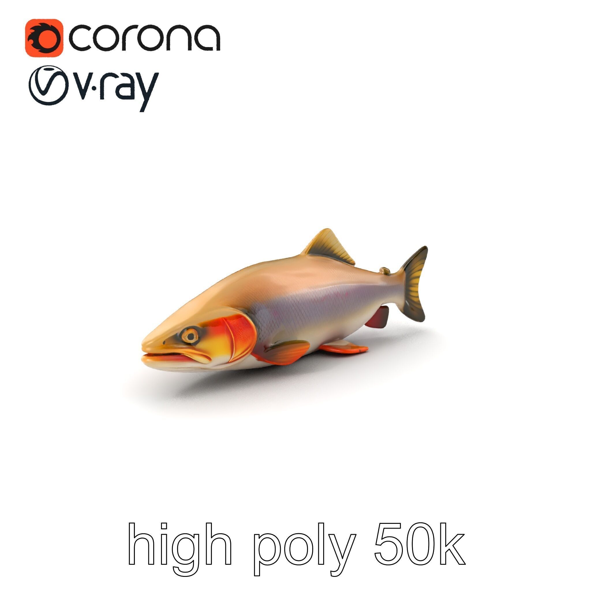 Bull Trout Realistic Model Pack Low-poly 3D model_2