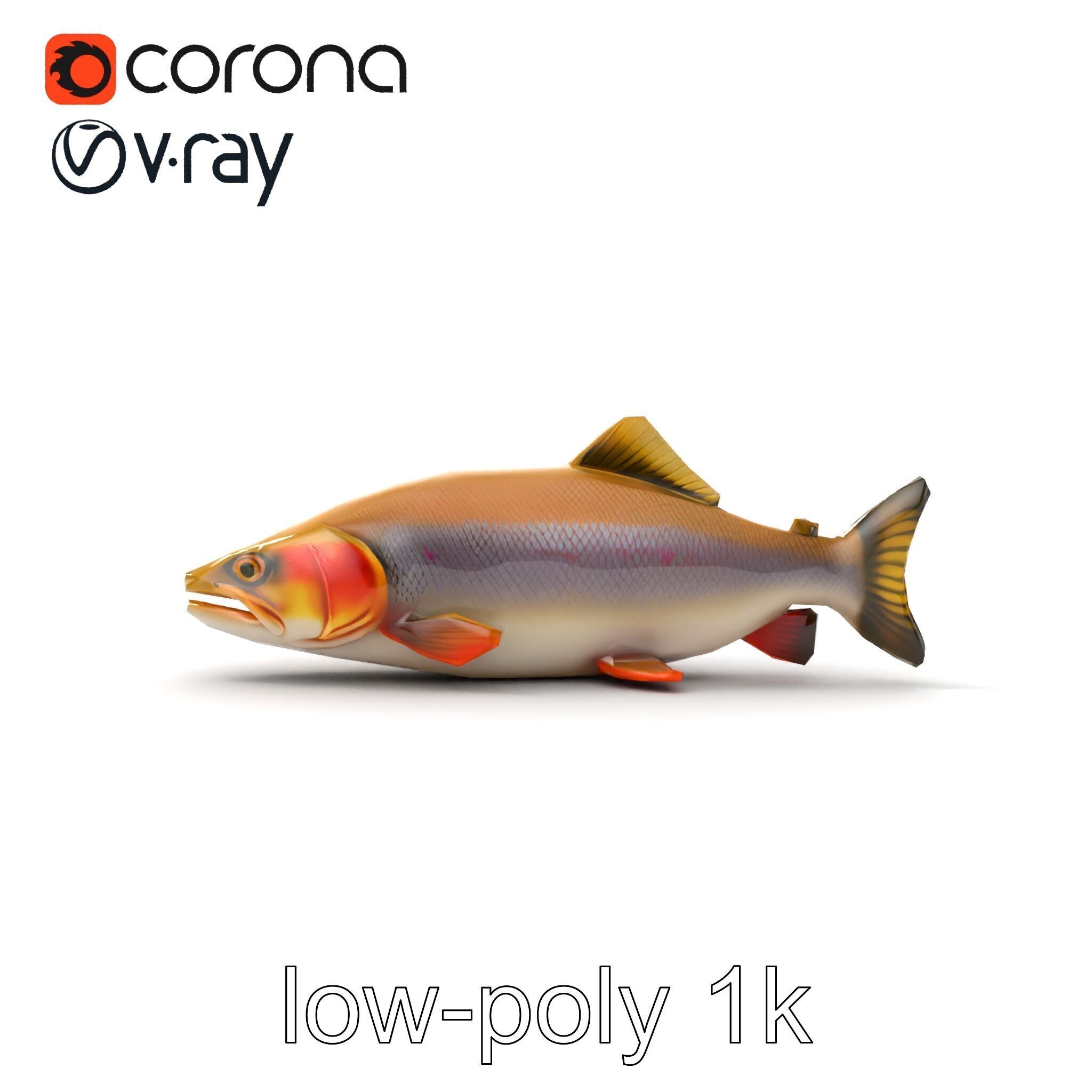 Bull Trout Realistic Model Pack Low-poly 3D model_19