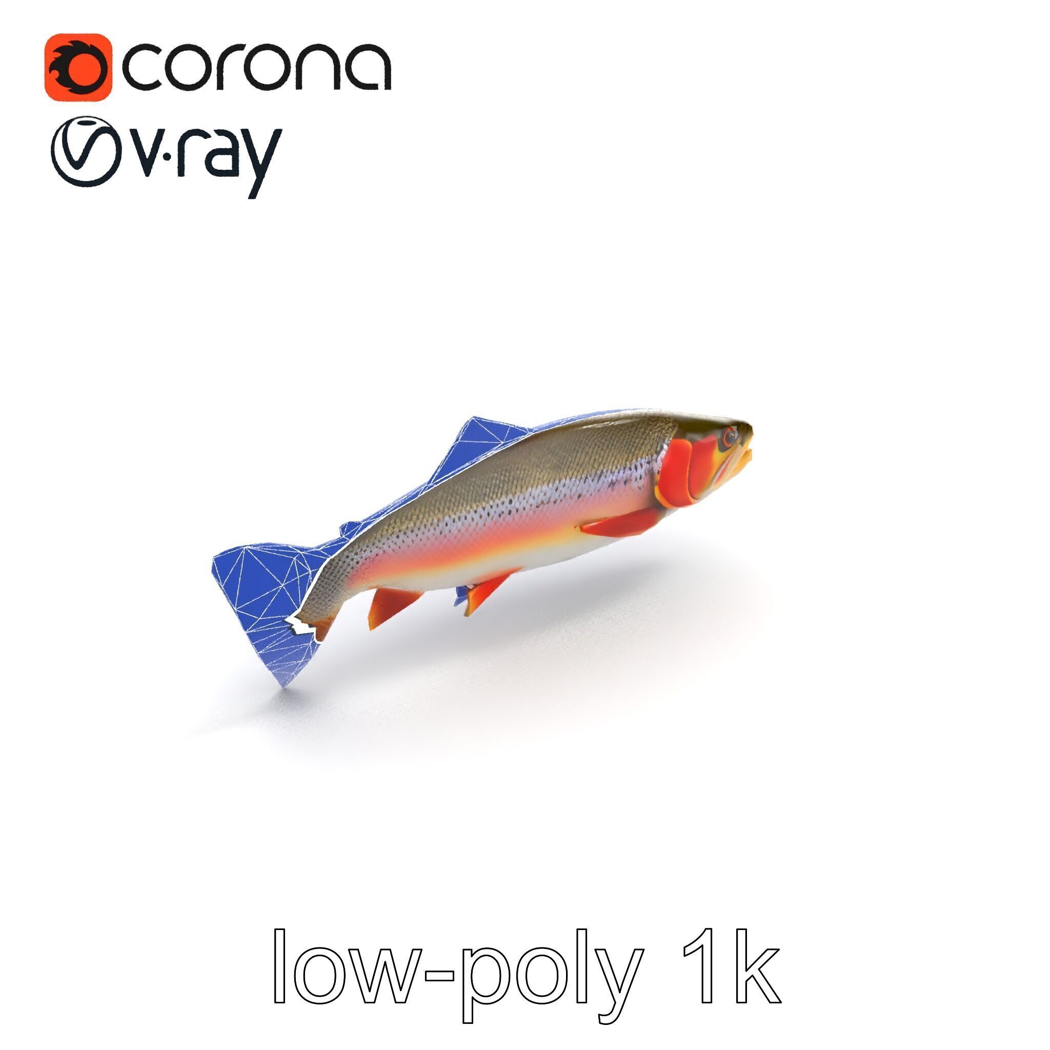 Artistic Cutthroat Trout with Detailed Markings model pack Low-poly 3D model_19