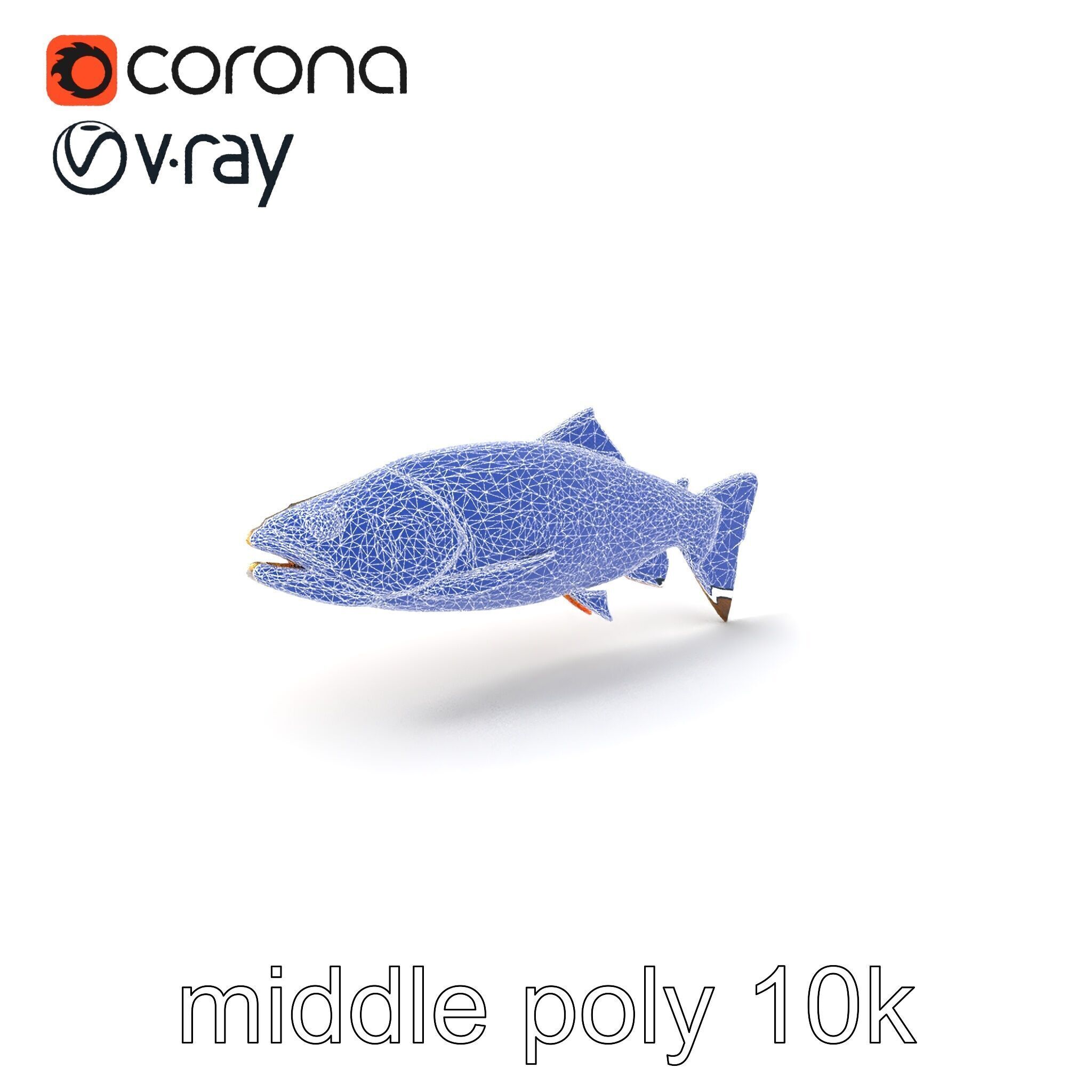 Artistic Cutthroat Trout with Detailed Markings model pack Low-poly 3D model_6