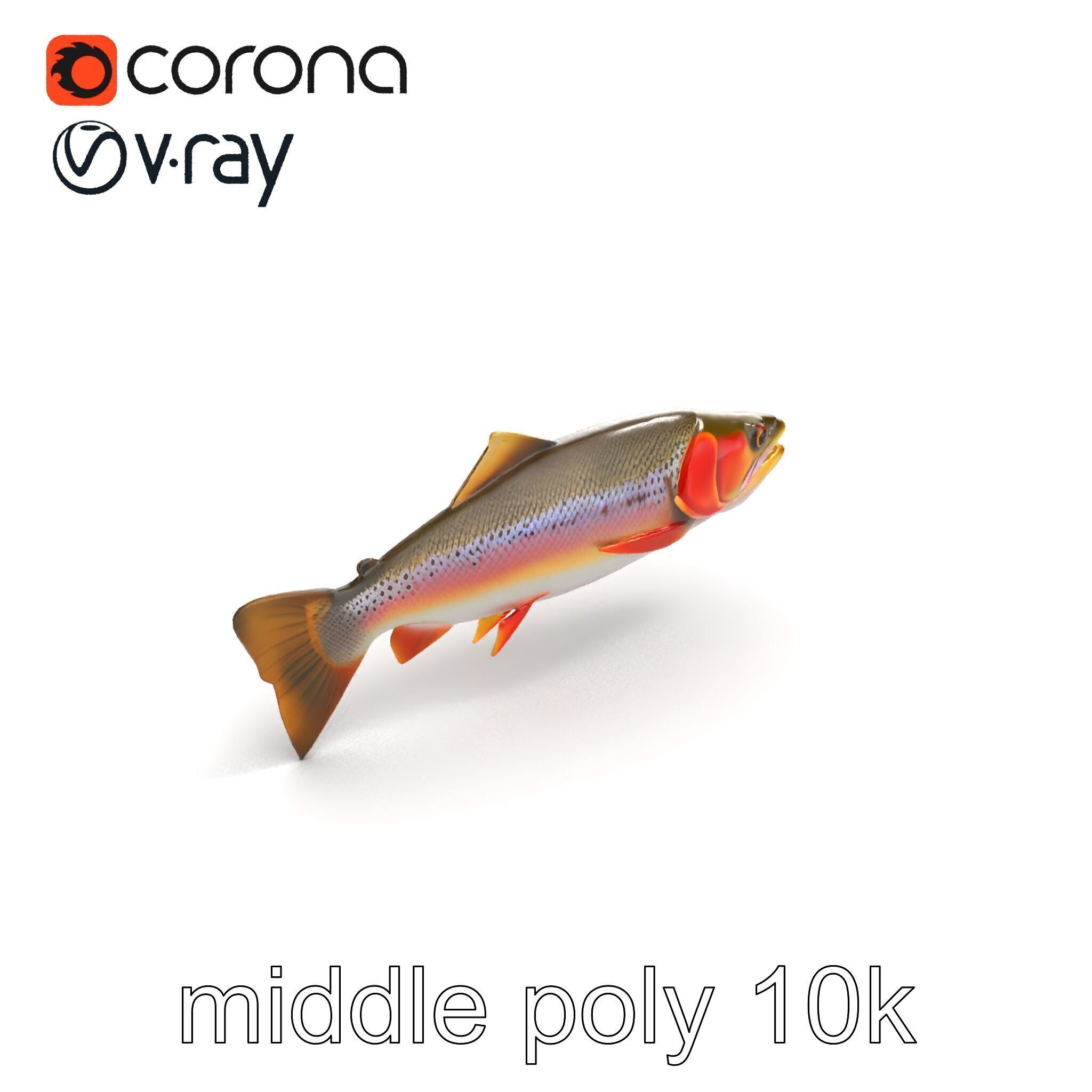 Artistic Cutthroat Trout with Detailed Markings model pack Low-poly 3D model_8