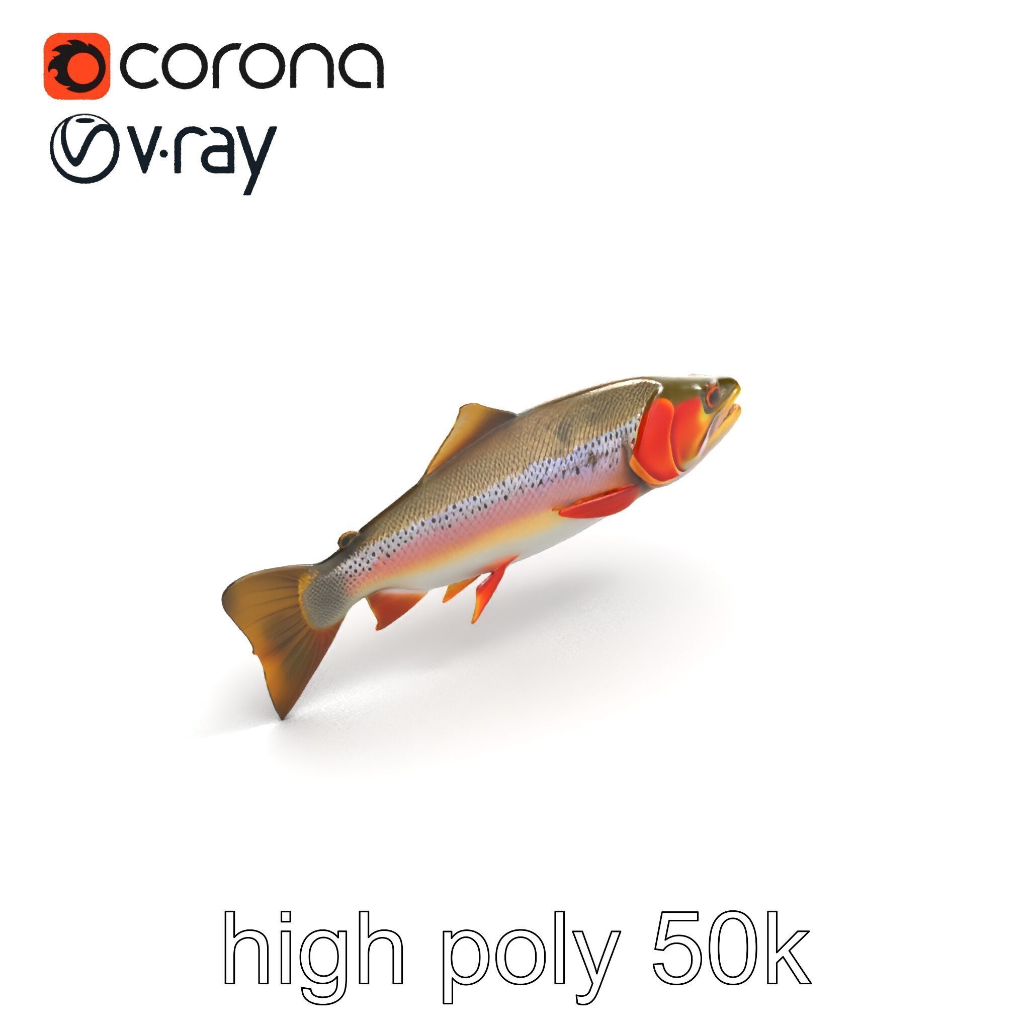 Artistic Cutthroat Trout with Detailed Markings model pack Low-poly 3D model_20
