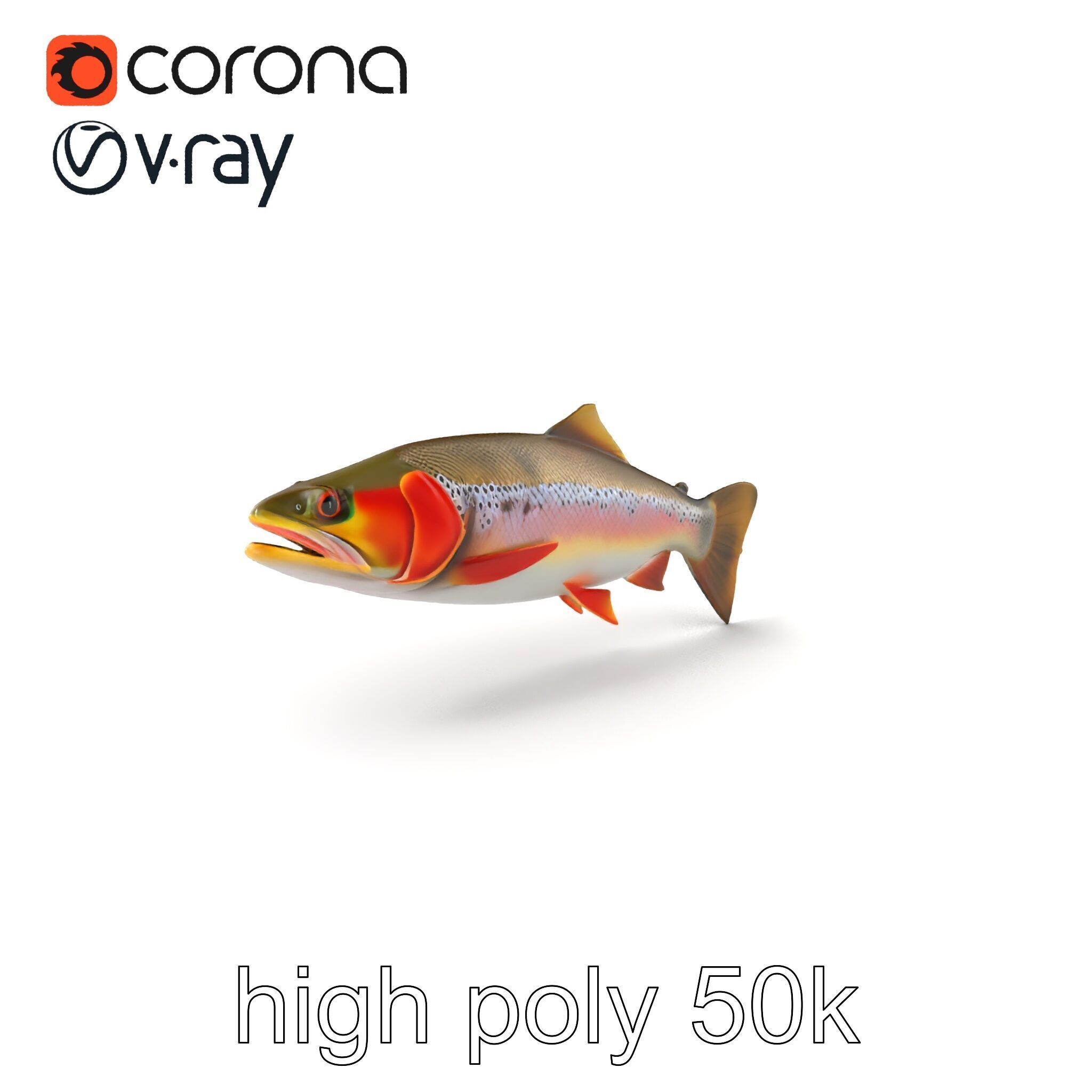 Artistic Cutthroat Trout with Detailed Markings model pack Low-poly 3D model_2