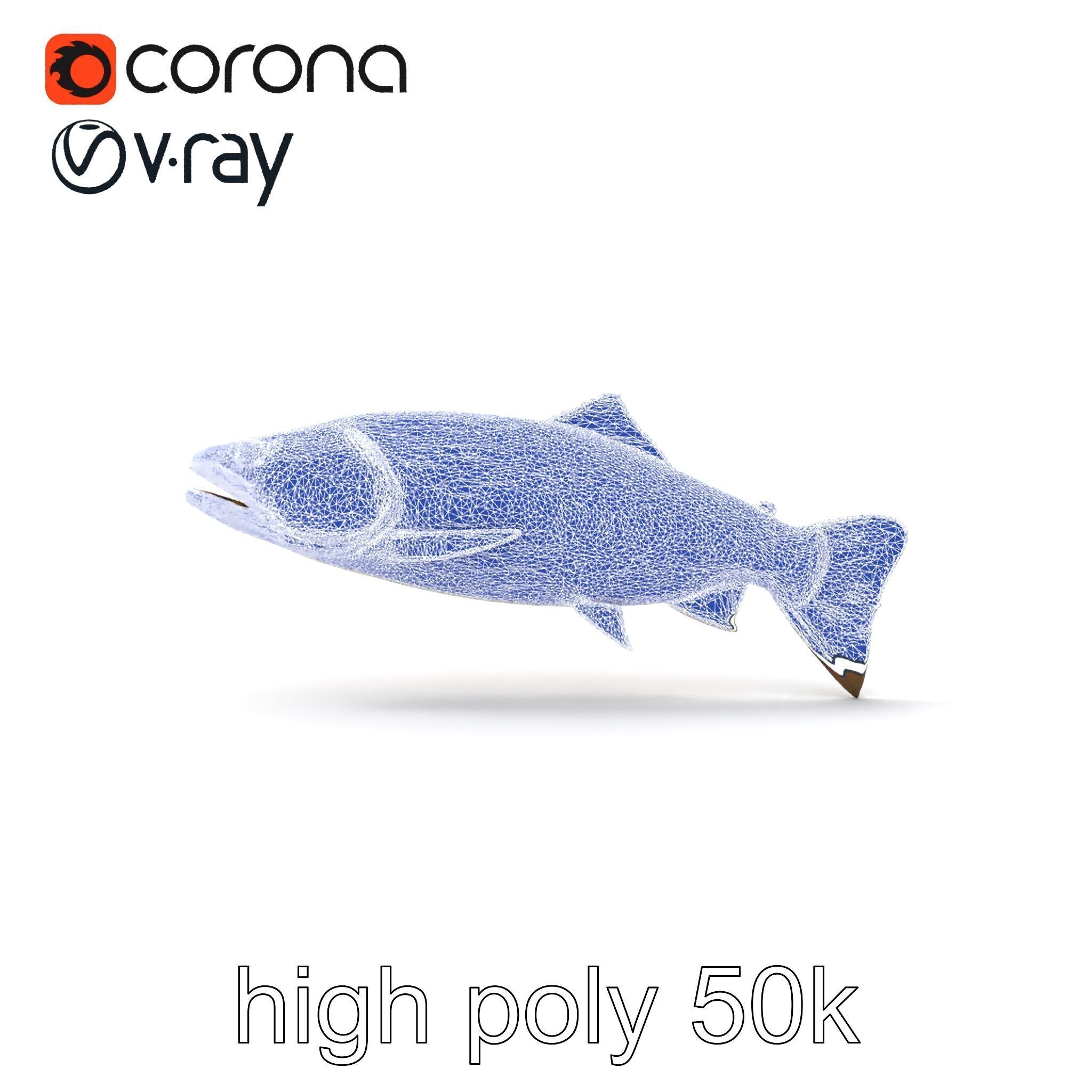 Artistic Cutthroat Trout with Detailed Markings model pack Low-poly 3D model_32