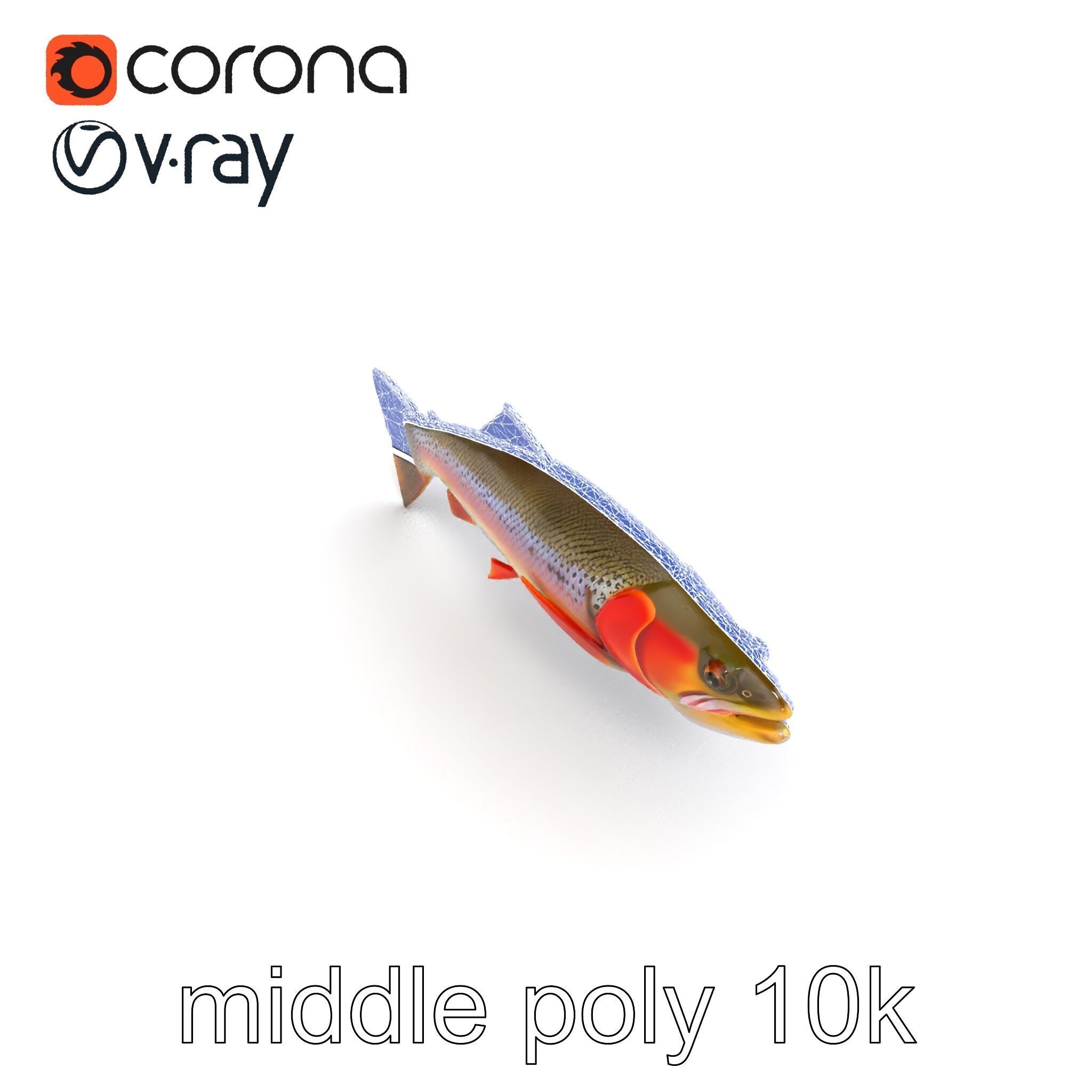 Artistic Cutthroat Trout with Detailed Markings model pack Low-poly 3D model_25