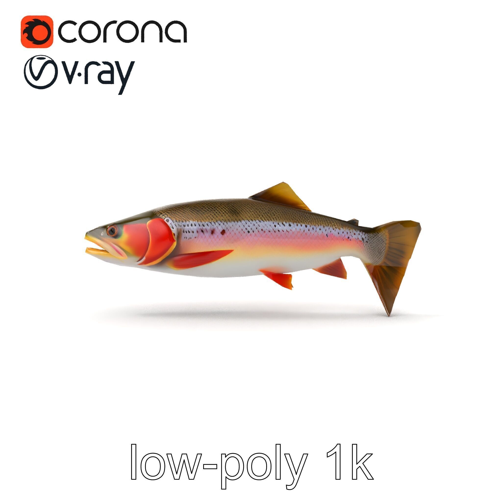 Artistic Cutthroat Trout with Detailed Markings model pack Low-poly 3D model_14