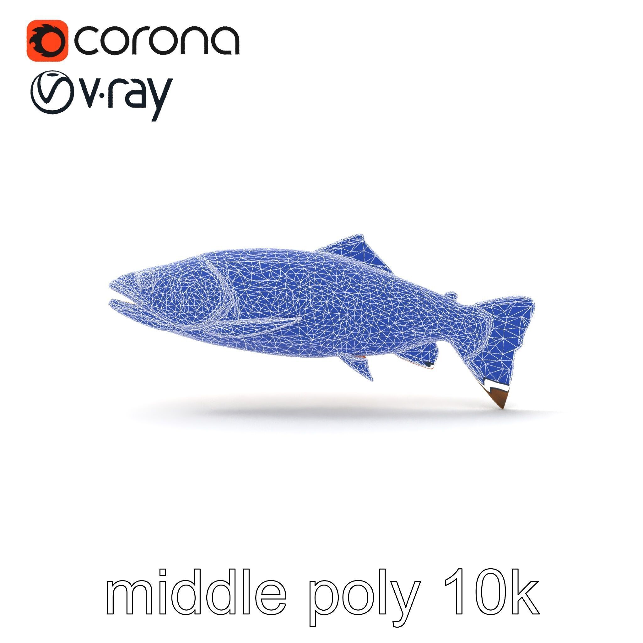 Artistic Cutthroat Trout with Detailed Markings model pack Low-poly 3D model_31