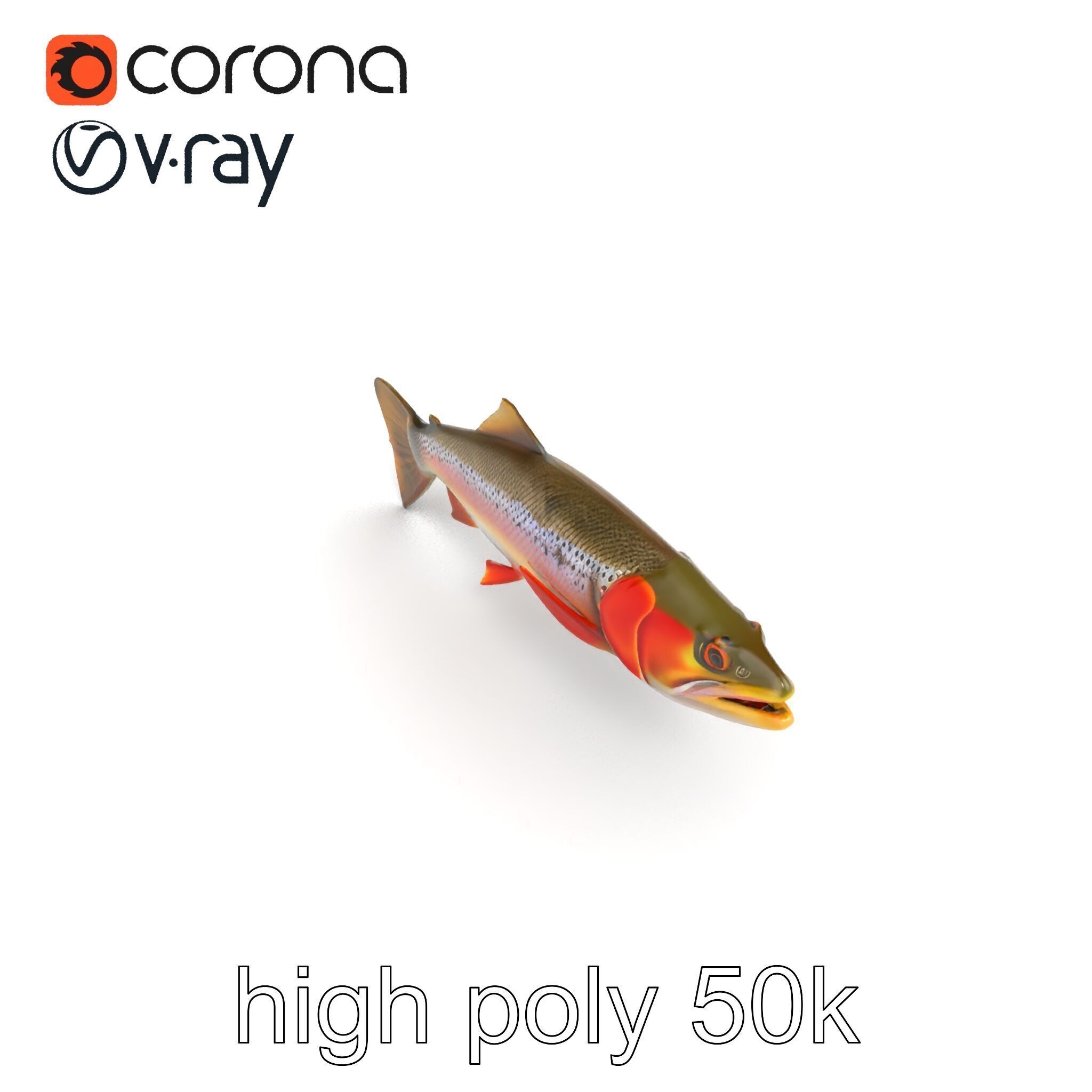 Artistic Cutthroat Trout with Detailed Markings model pack Low-poly 3D model_18