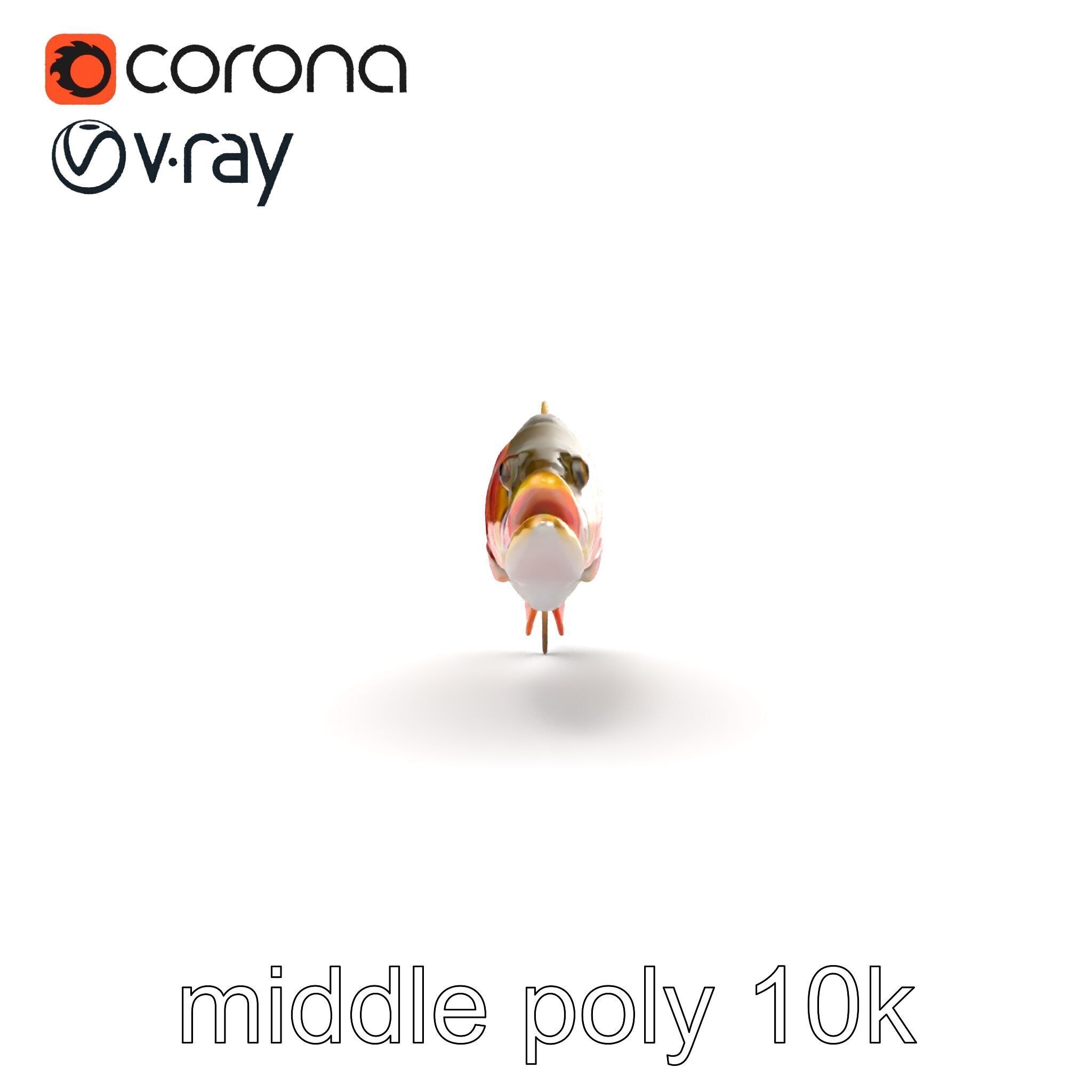 Artistic Cutthroat Trout with Detailed Markings model pack Low-poly 3D model_15