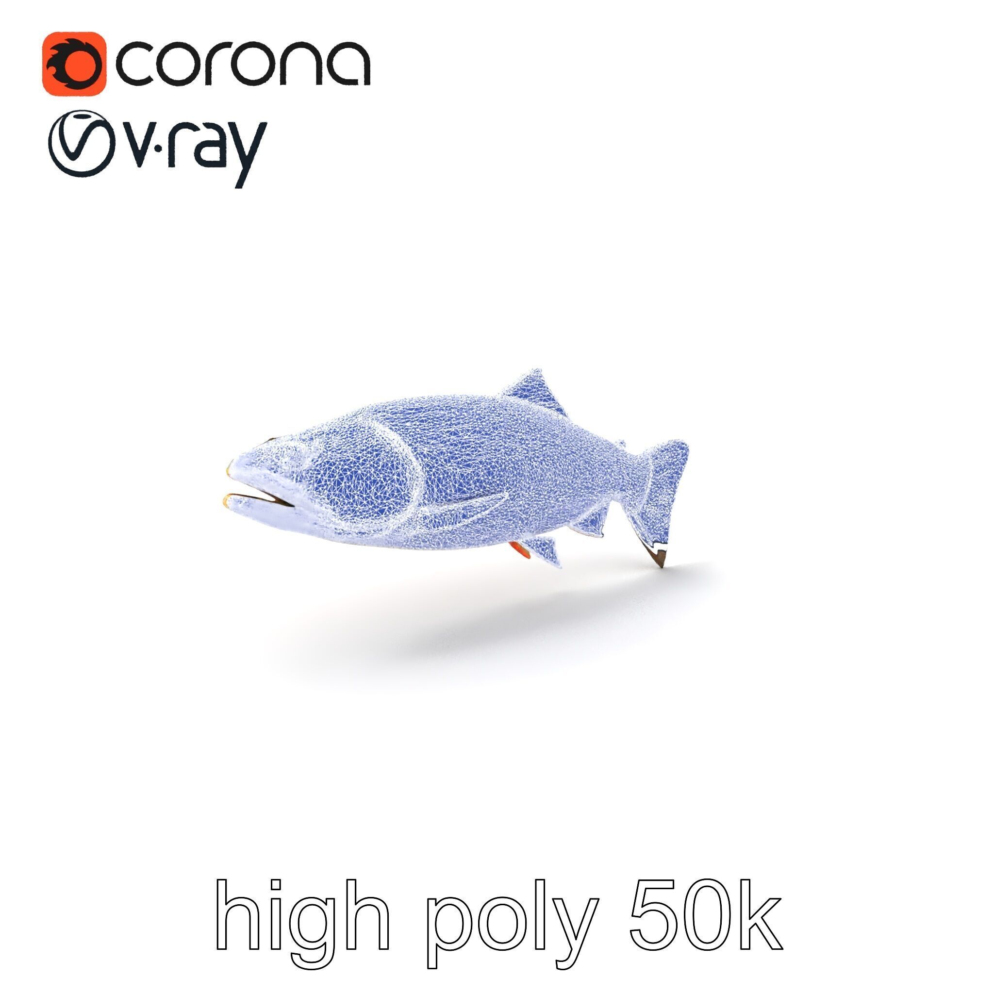 Artistic Cutthroat Trout with Detailed Markings model pack Low-poly 3D model_10