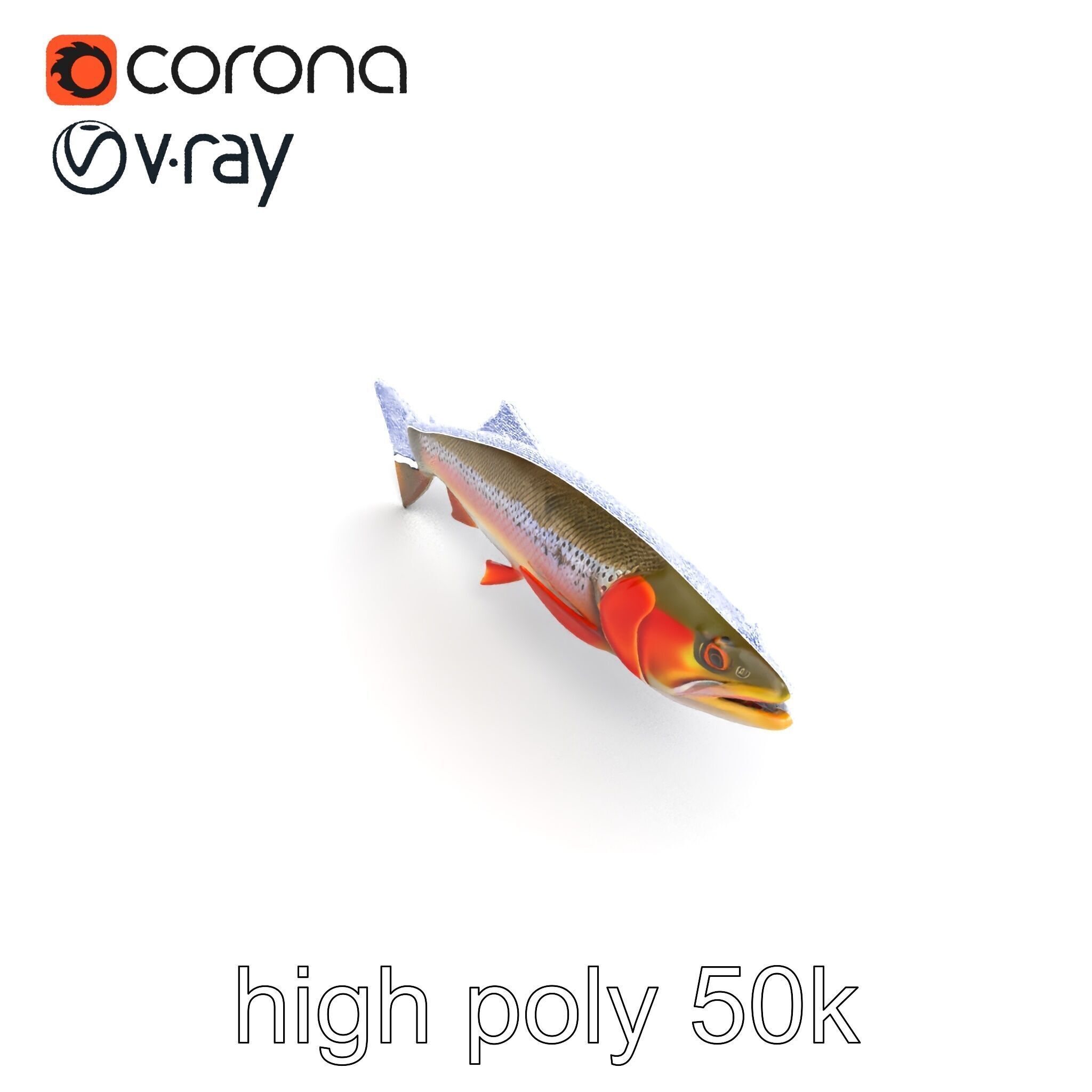 Artistic Cutthroat Trout with Detailed Markings model pack Low-poly 3D model_24