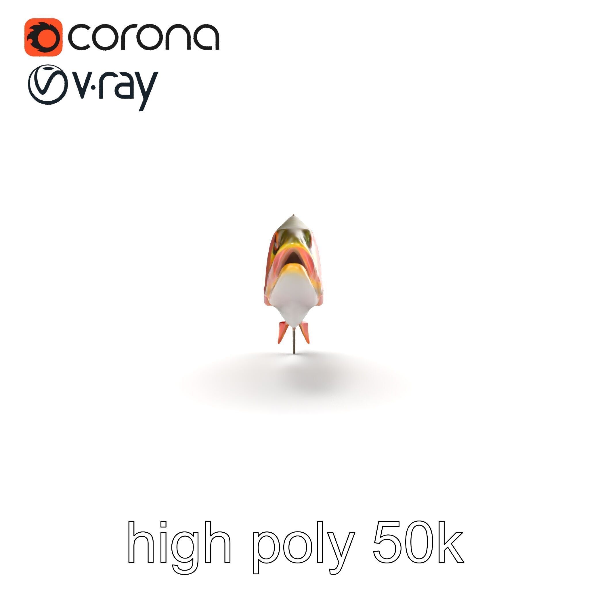 Artistic Cutthroat Trout with Detailed Markings model pack Low-poly 3D model_17