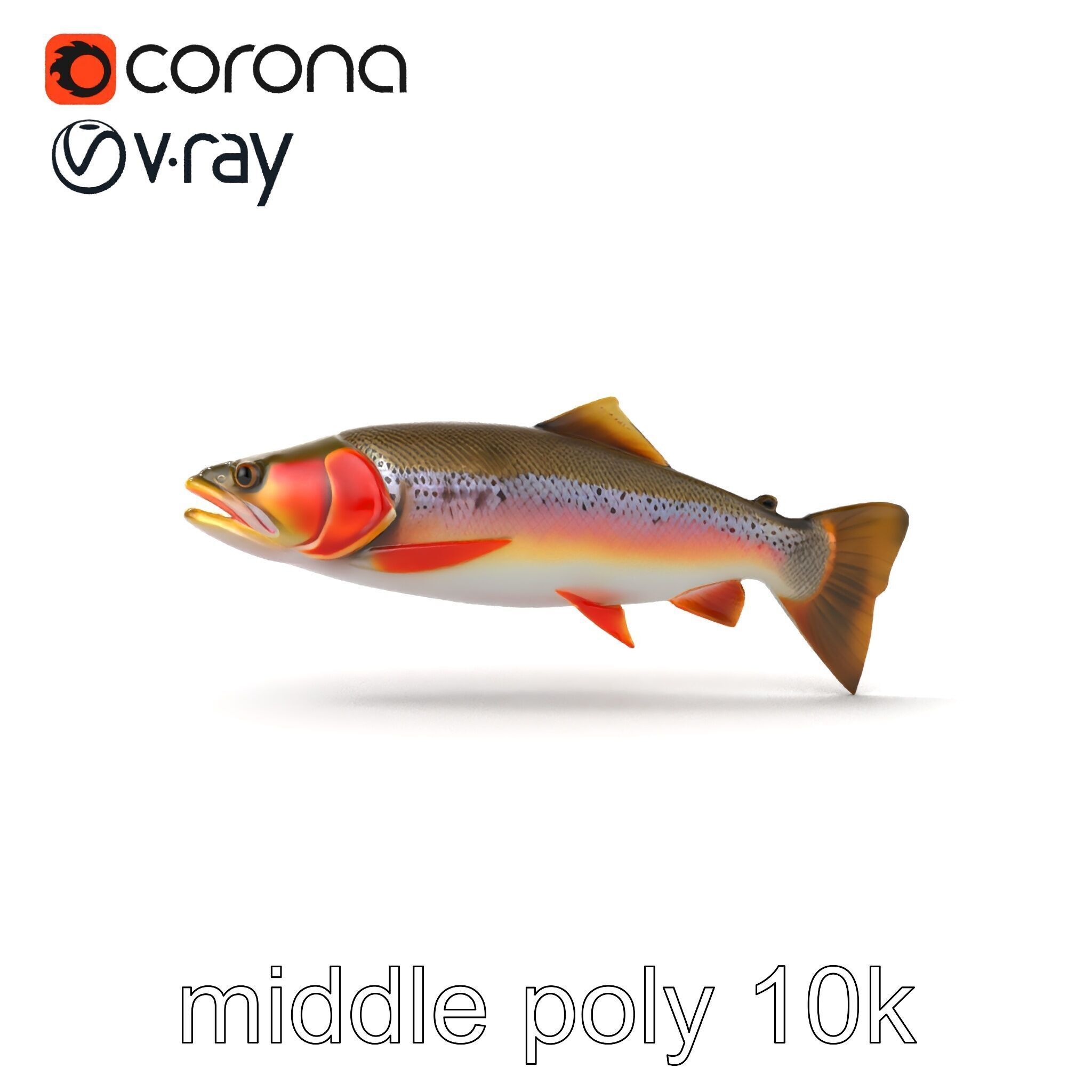 Artistic Cutthroat Trout with Detailed Markings model pack Low-poly 3D model_26