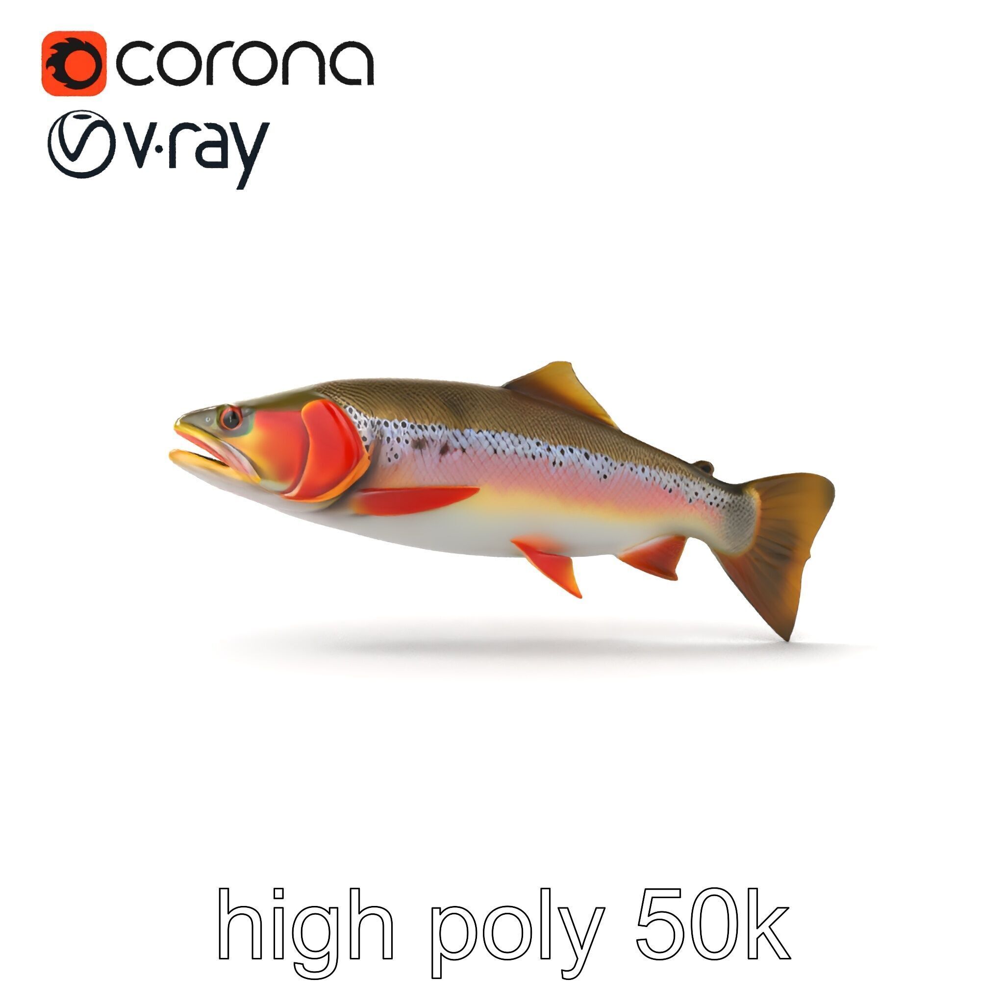 Artistic Cutthroat Trout with Detailed Markings model pack Low-poly 3D model_21