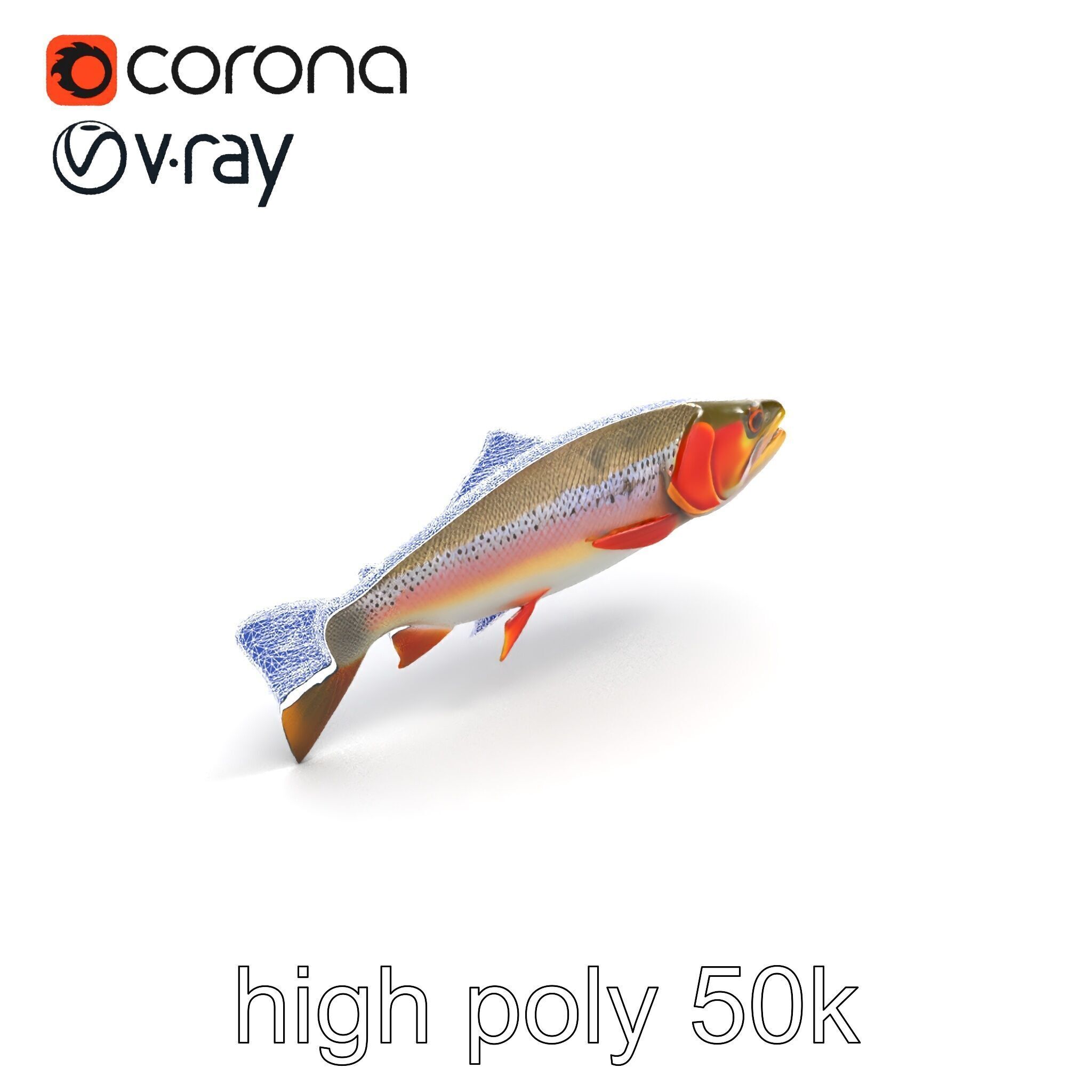 Artistic Cutthroat Trout with Detailed Markings model pack Low-poly 3D model_30