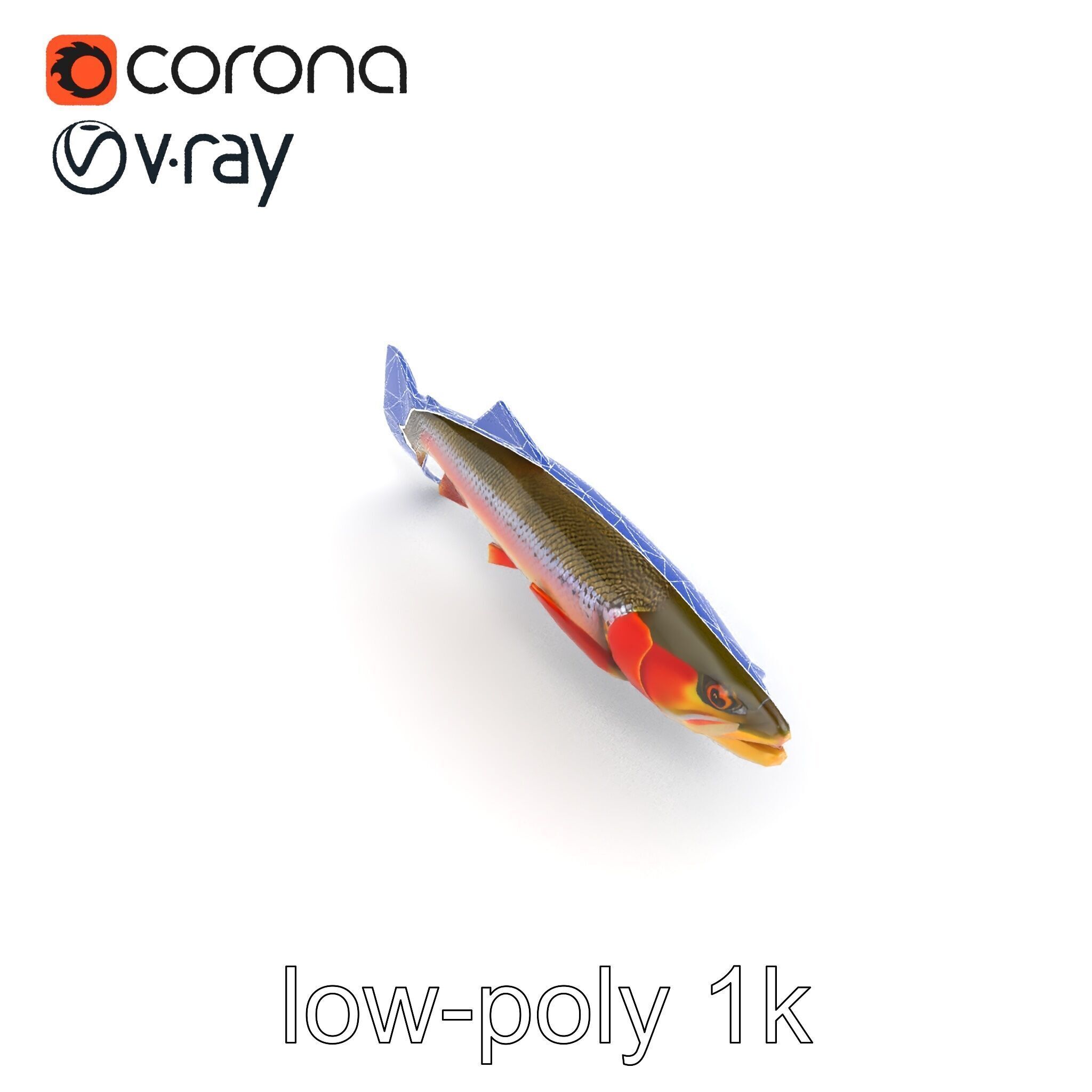 Artistic Cutthroat Trout with Detailed Markings model pack Low-poly 3D model_13